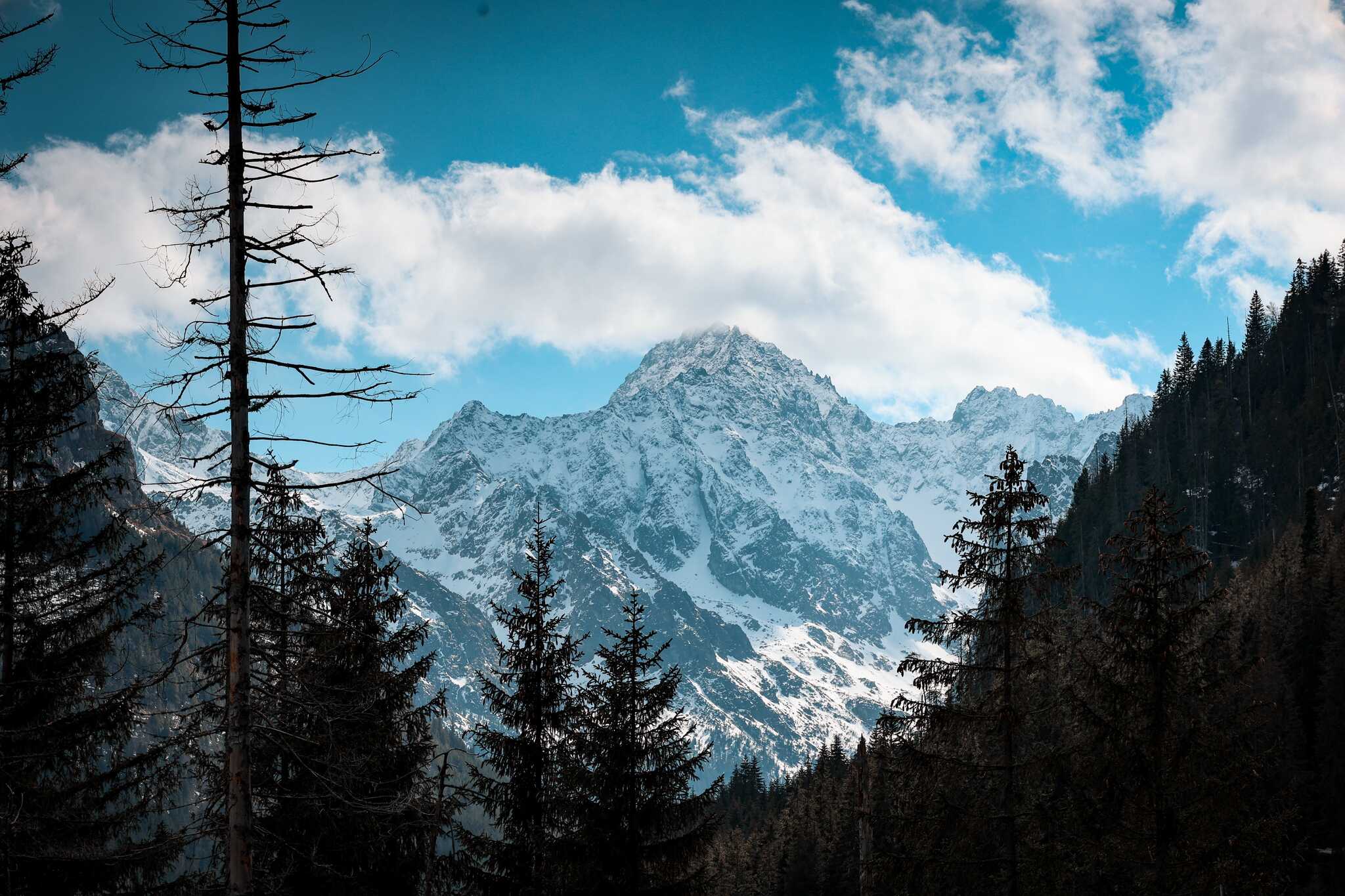 2048x1365 A Full Guide To Zakopane With The Wolf