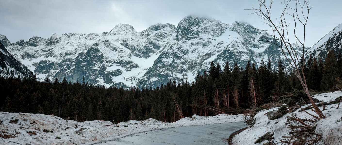 1410x600 No.1 Hike in Tatra National Park: Morskie Oko With The Wolf