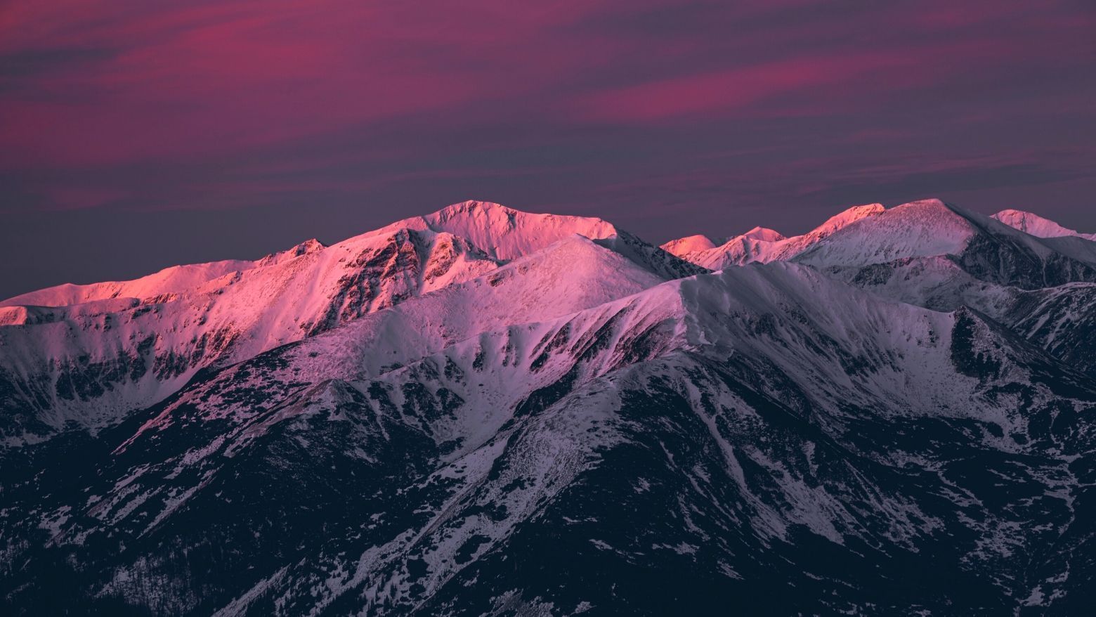 1560x878 From Tasmania to Zakopane