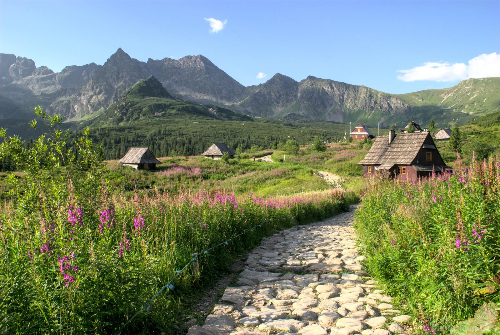 1600x1071 Image of Hala Gąsienicowa