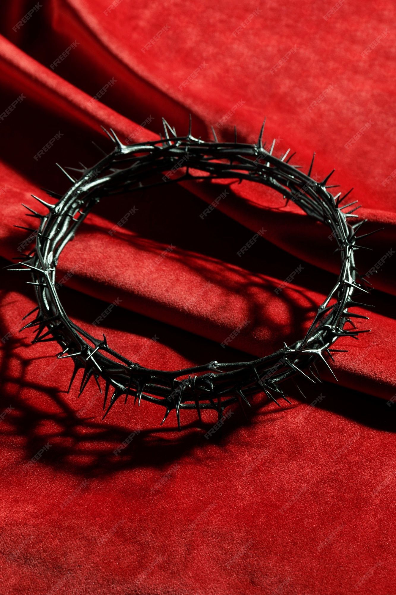1333x2000 Crown Thorns Picture
