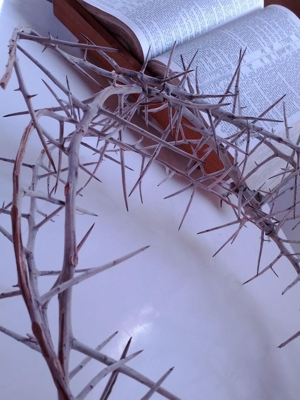 960x1280 Crown Thorns Jesus
