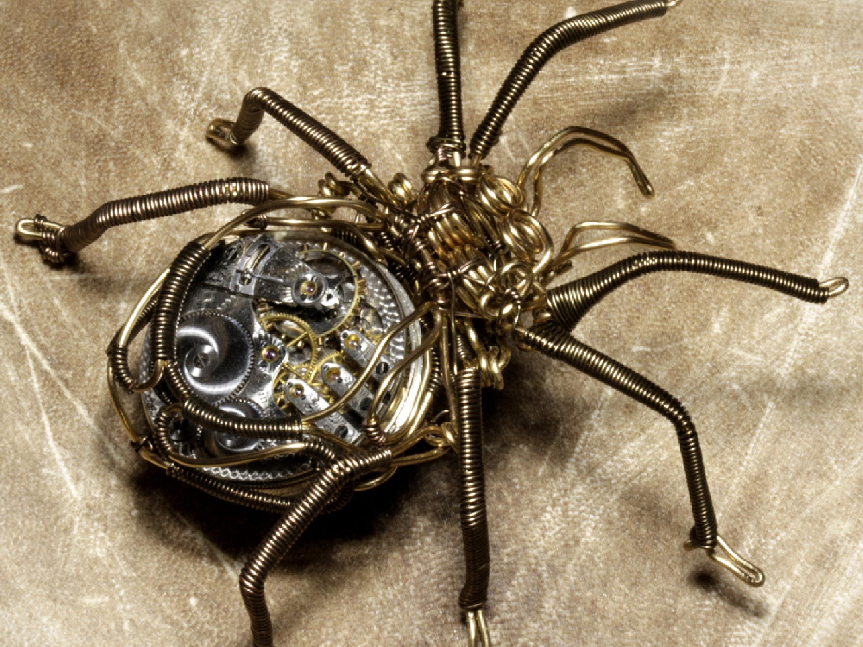2800x2100 Cool Spider Wallpaper 1440x #MR8KXN6. ZyZiXuN E Journal