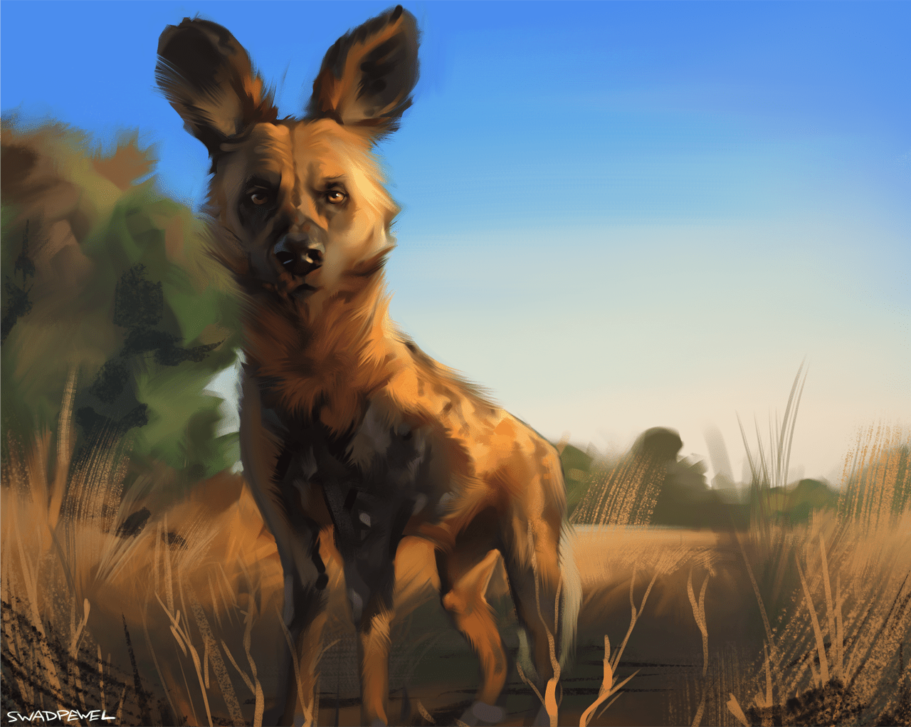 1280x1021 African Wild Dog. Sketch [P] by Swadpewel - Fur Affinity [dot] net