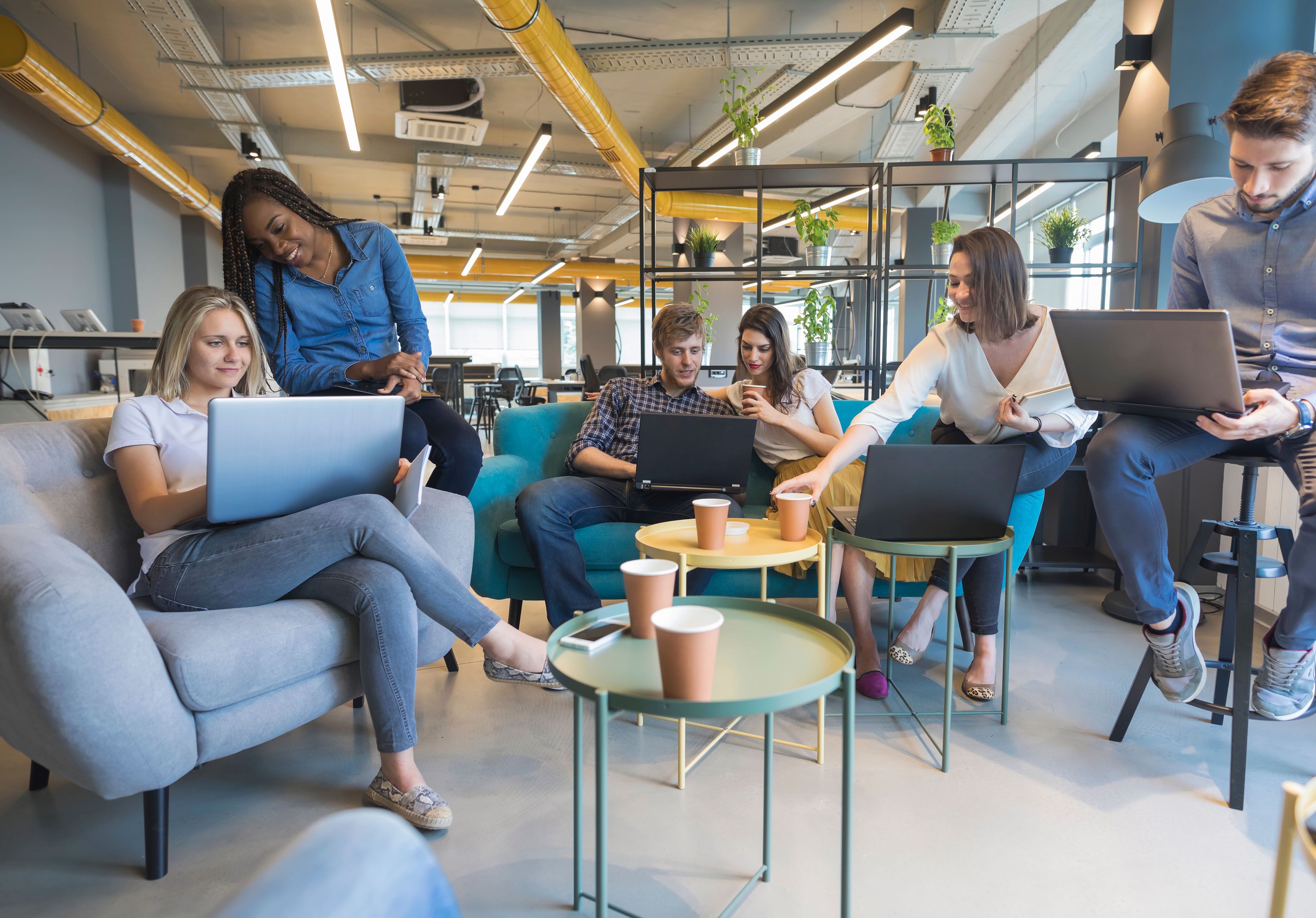 4013x2800 The office evolution Bay Business & Wealth