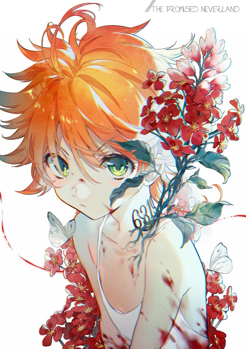 The Promised Neverland Wallpapers - Top Free The Promised Neverland