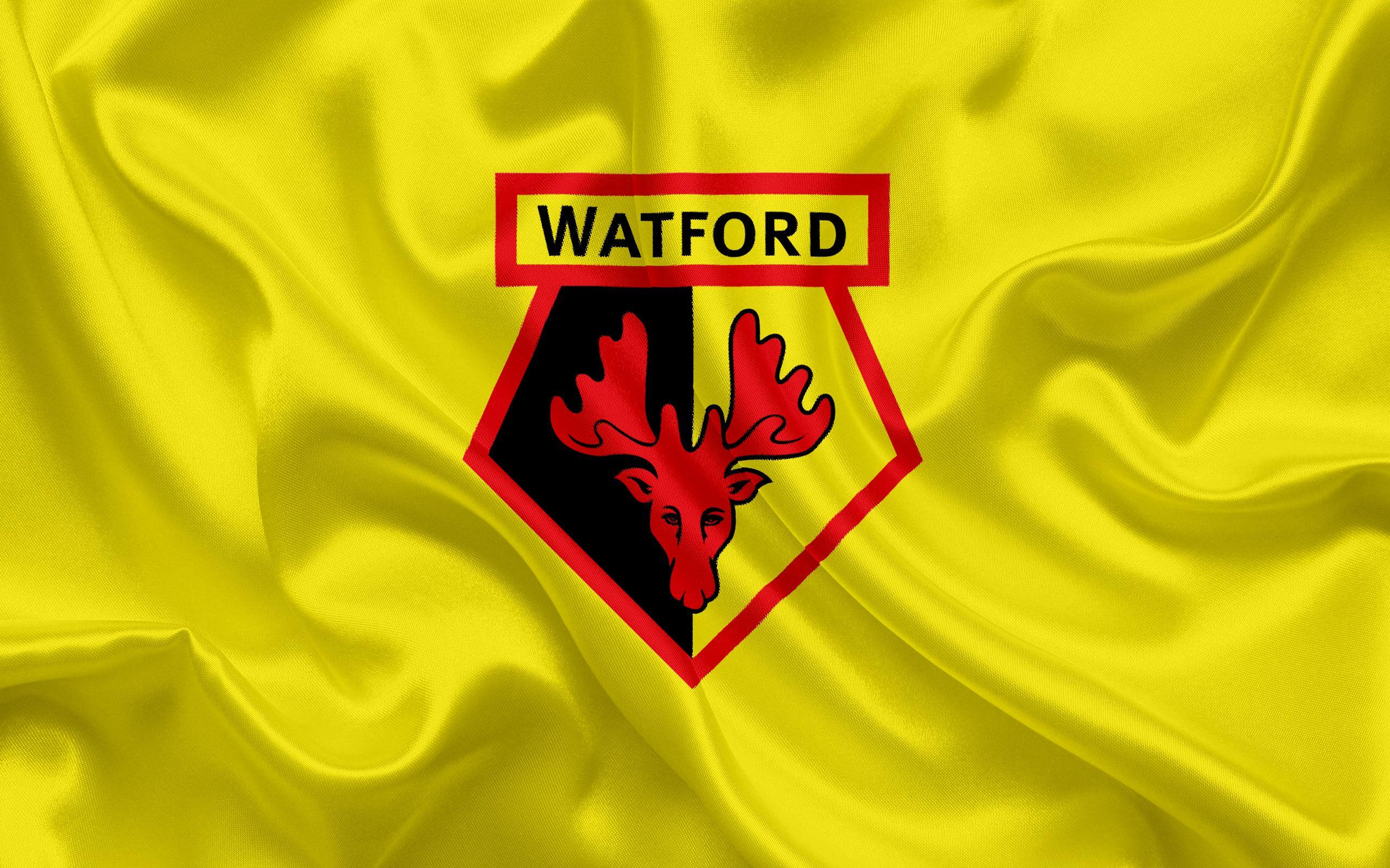 2560x1600 Watford Desktop Wallpaper