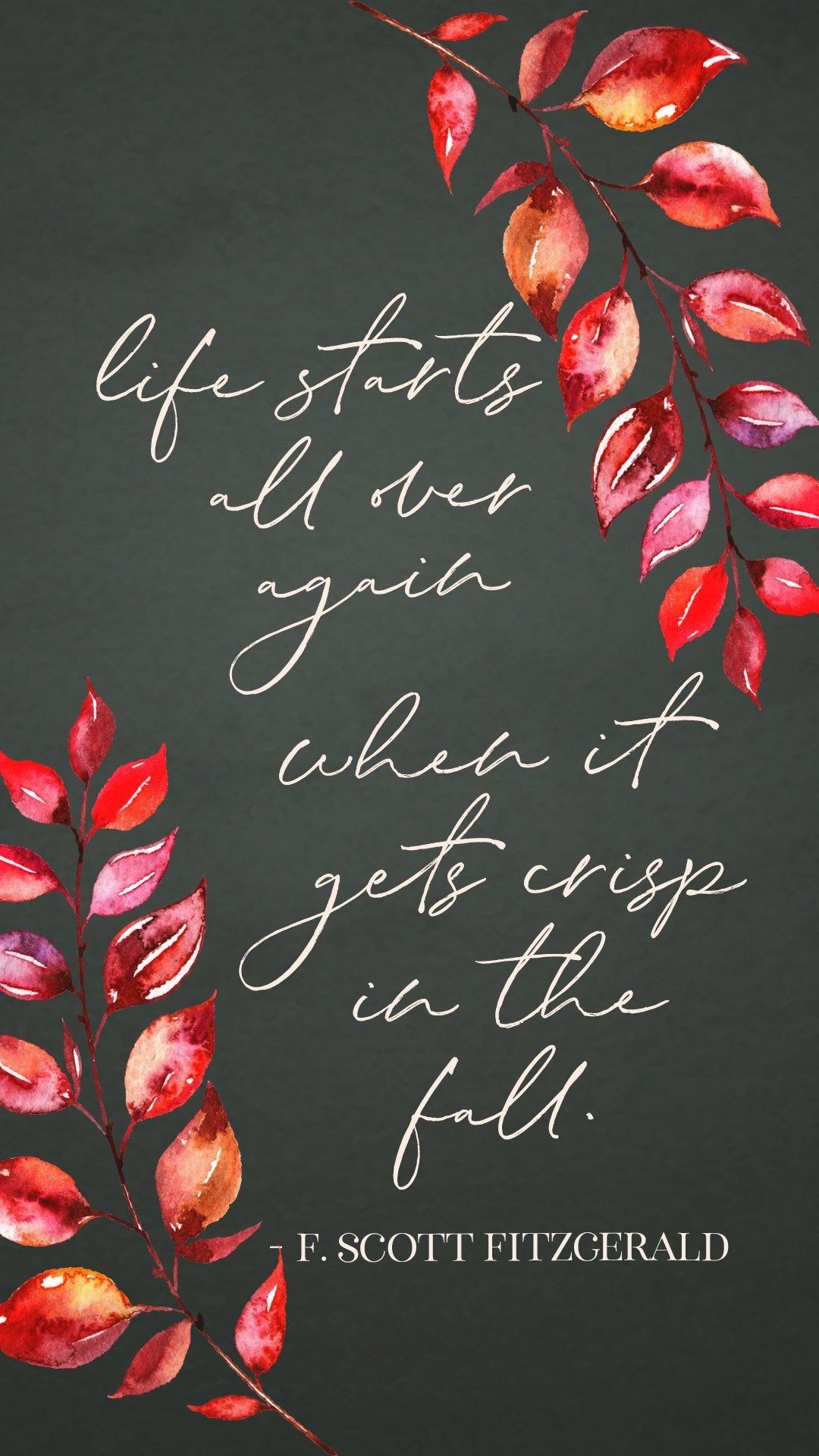 Crisp Wallpapers - Top Free Crisp Backgrounds - WallpaperAccess