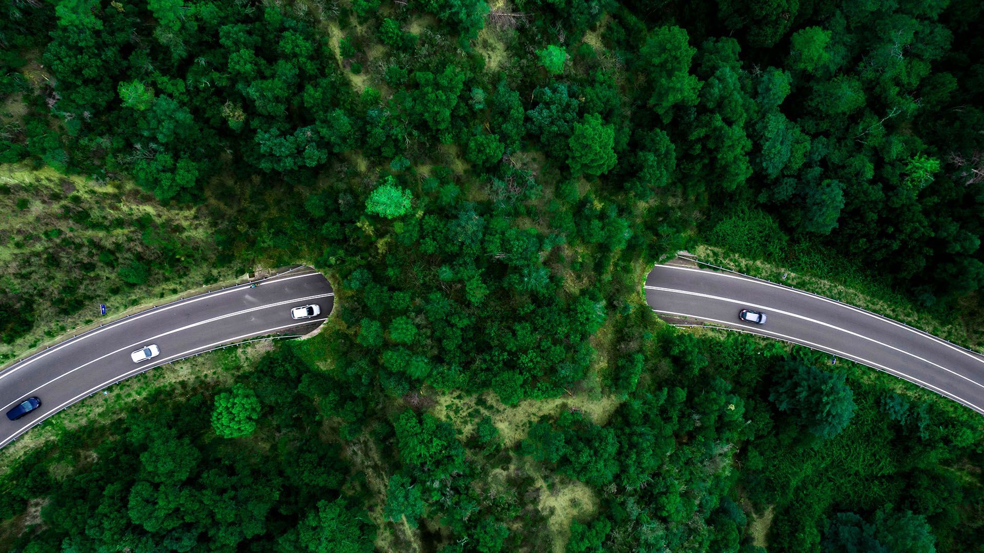 1920x1080 Aerial view of green bridge for wildlife cross highway, Tossa de Mar, Girona Catalonia, Spain. Windows Spotlight Image