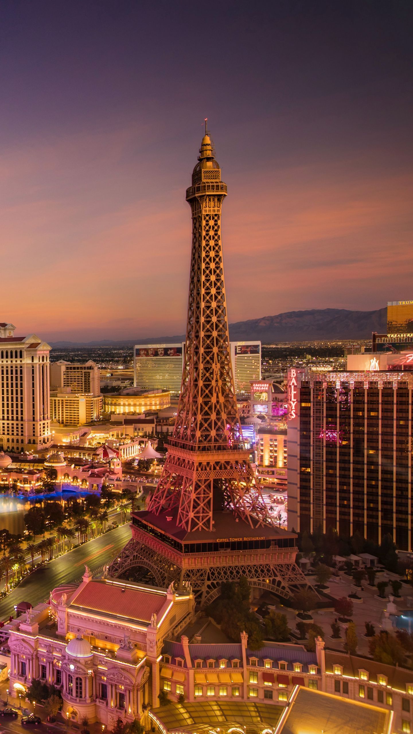 1440x2560 Download wallpaper 1440x2560 eiffel tower, night city, architecture, lights qhd samsung galaxy s s edge, note, lg g4 HD background