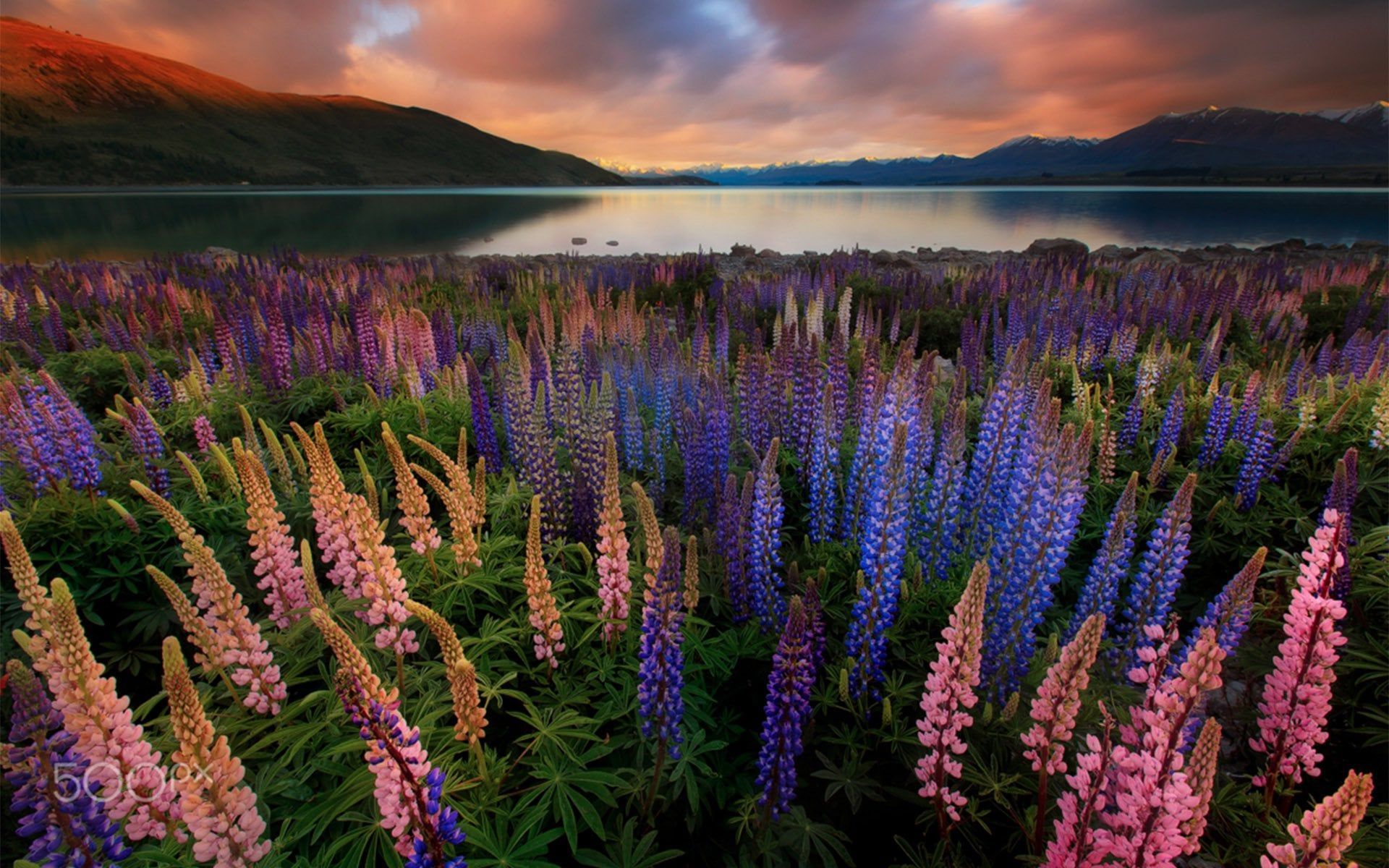 1920x1200 Lake Tekapo [1920 X 1200]