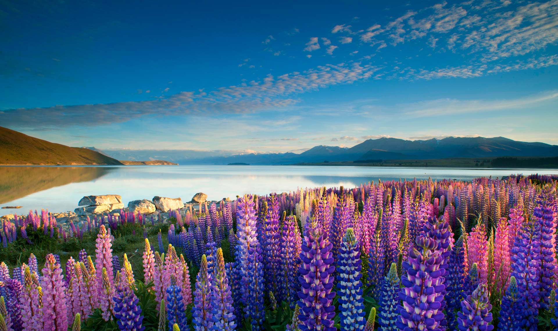 1920x1140 Lake Tekapo, New Zealand