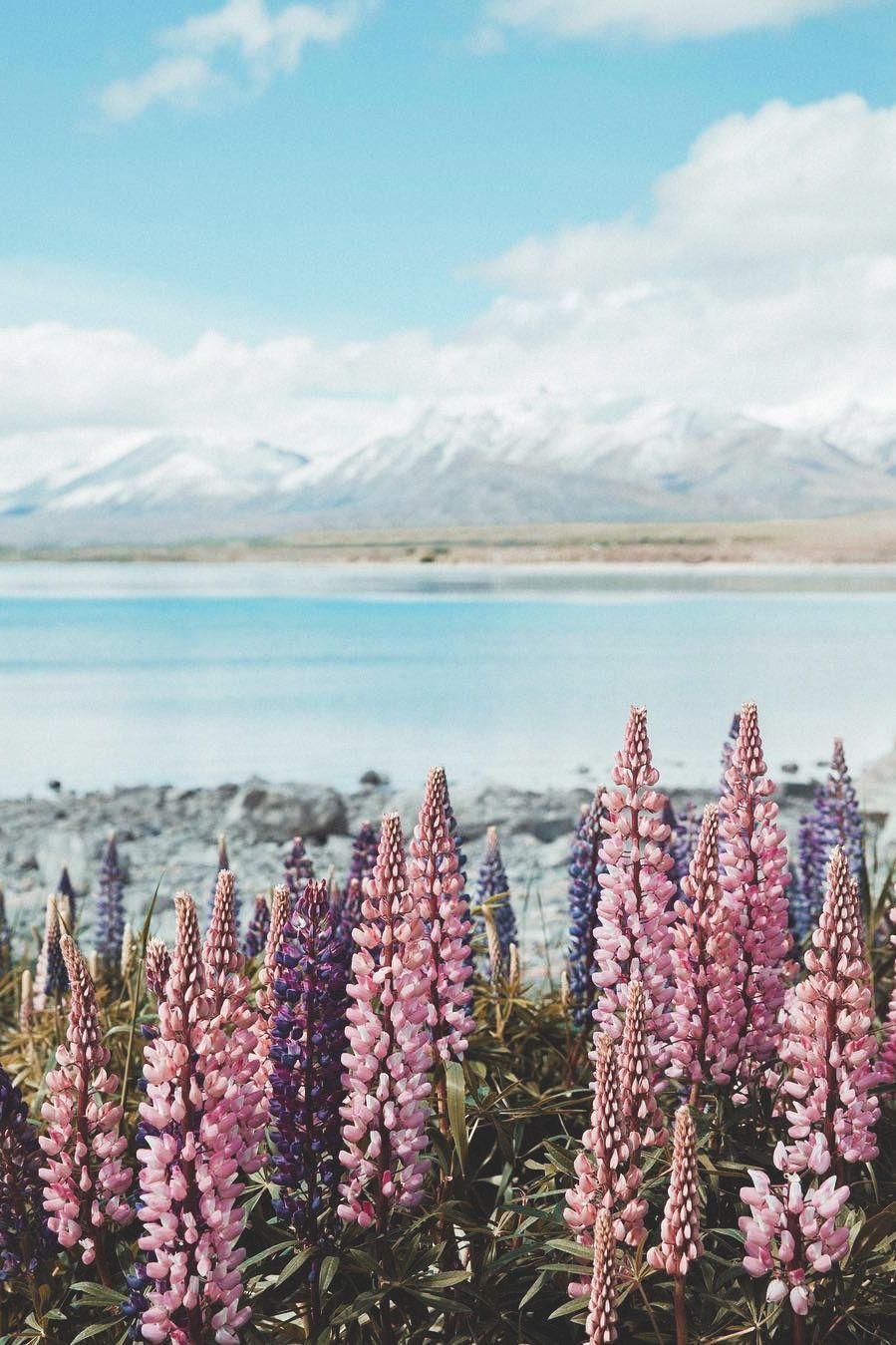 899x1349 lsleofskye: “ Lake Tekapo. polkadotpassport Location: Lake Tekapo, South Island, New Zealand ”. Lake tekapo, Travel photography inspiration, Beautiful nature