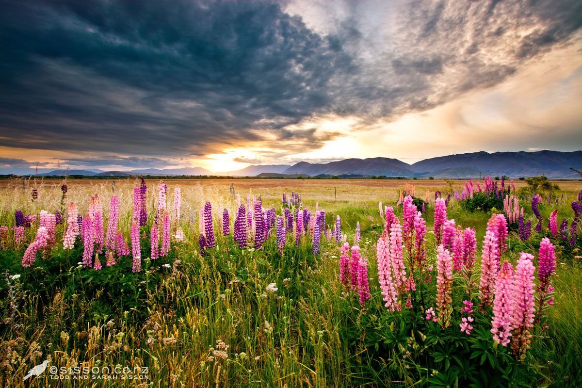 1200x800 lake Tekapo. The Photo Autocracy