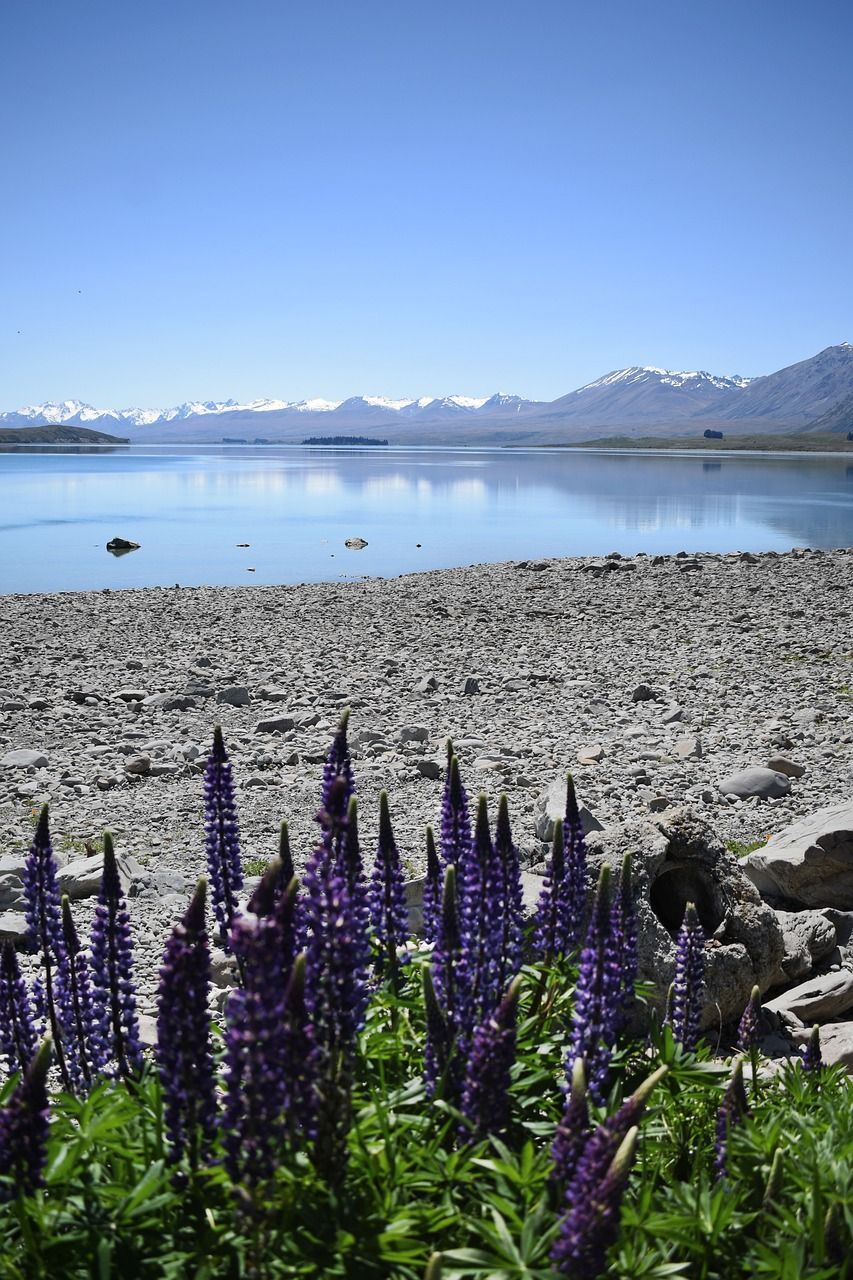 853x1280 Free Lake Tekapo & New Zealand Image