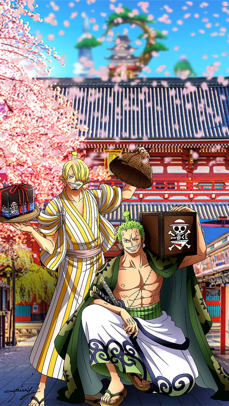 800x1419 HD zorojuro wallpaper