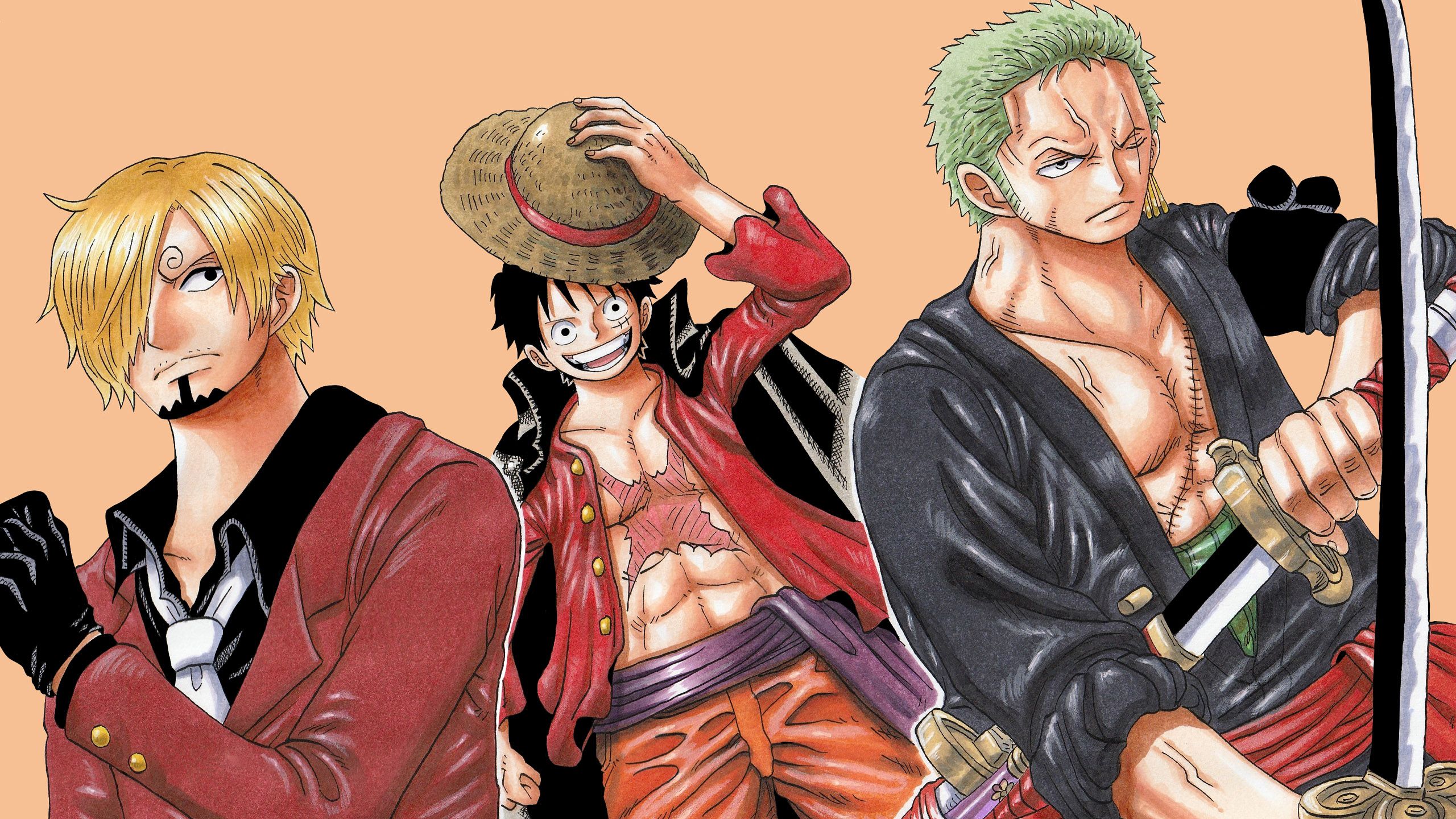 2560x1440 Monkey D. Luffy Roronoa Zoro Sanji HD One Piece Wallpaper