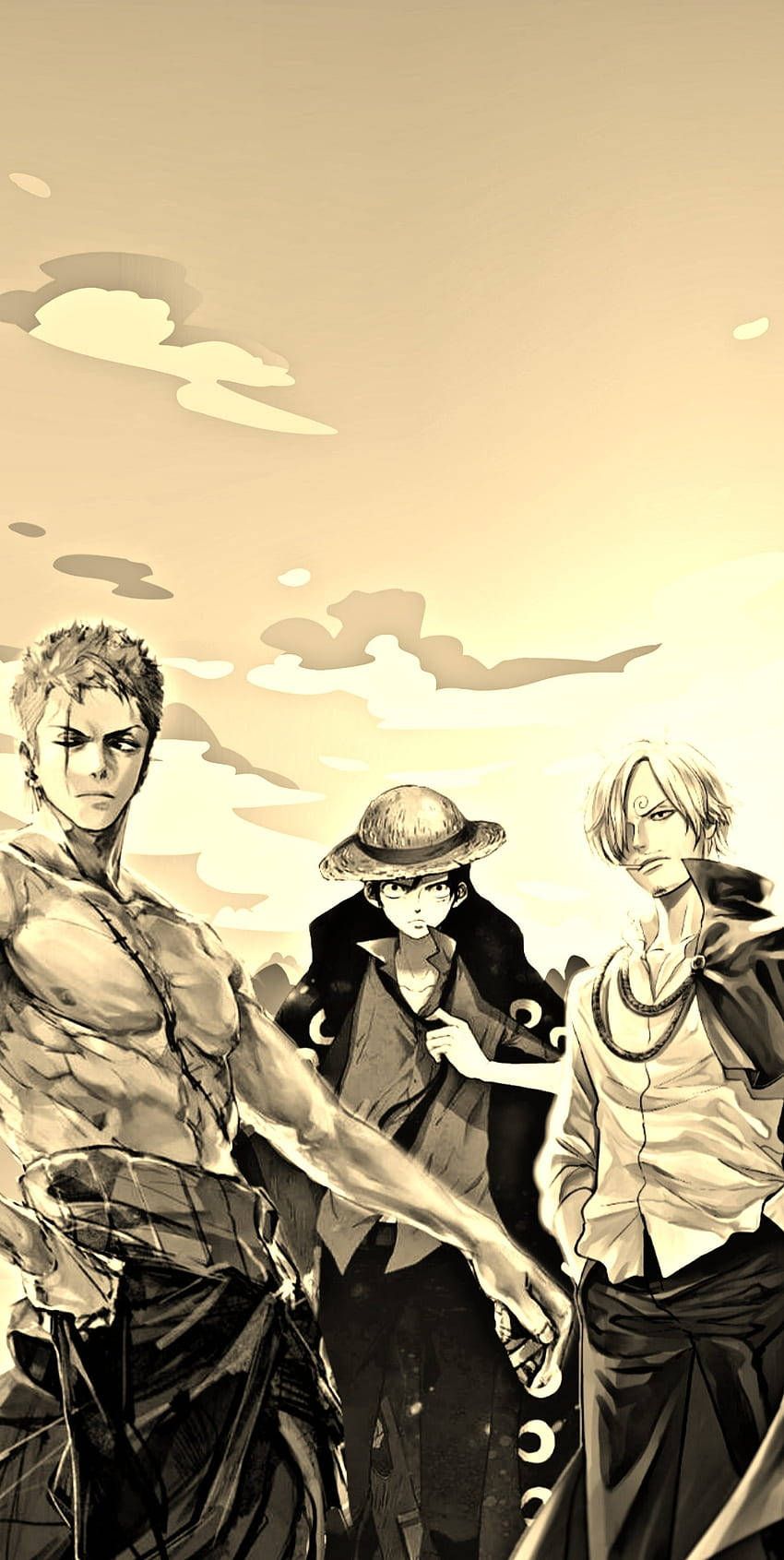850x1691 Download Luffy Zoro Sanji Classic Photo Mobile Wallpaper