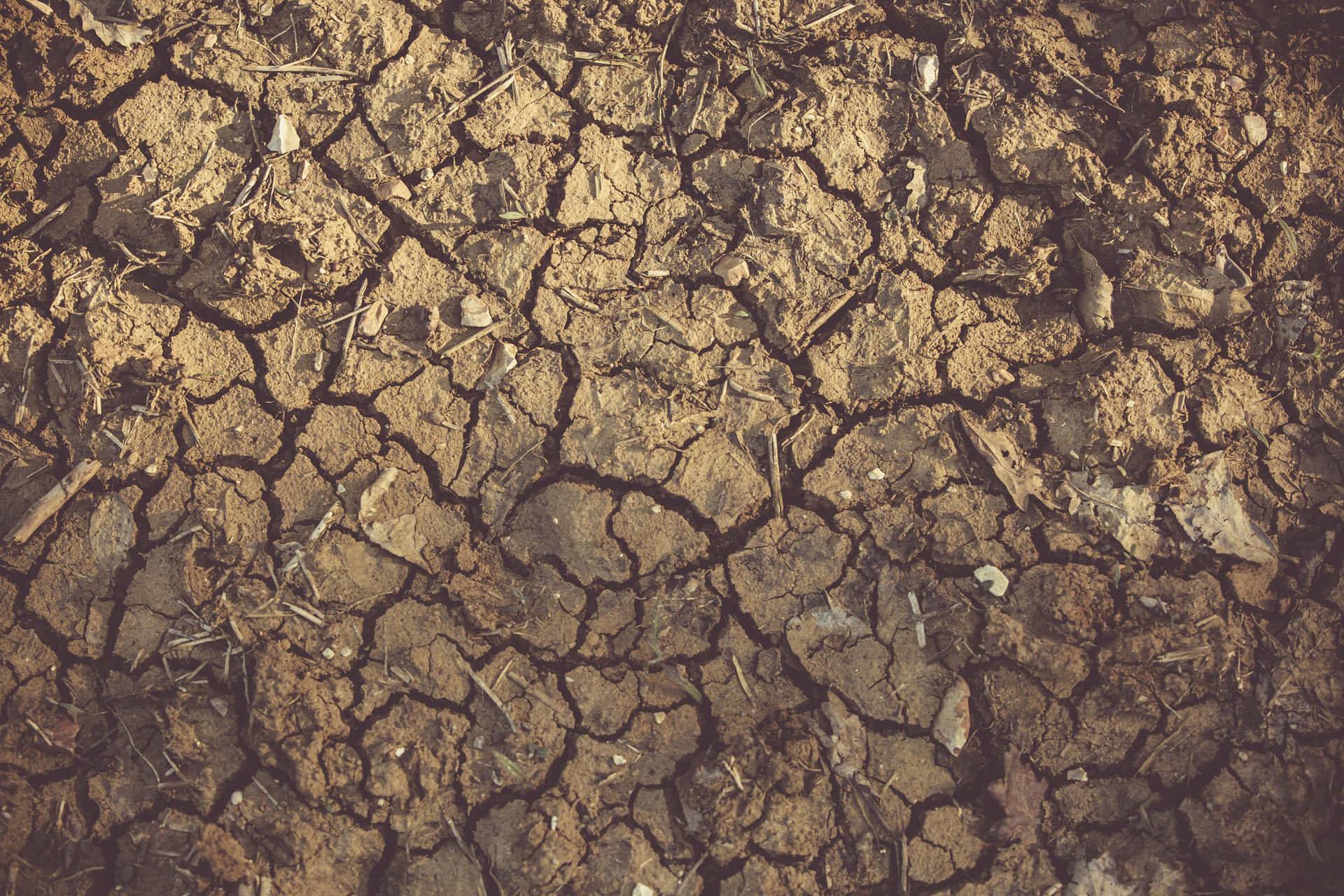 1920x1280 Download Dry Mud Cracked Soil Barren Land Wallpaper