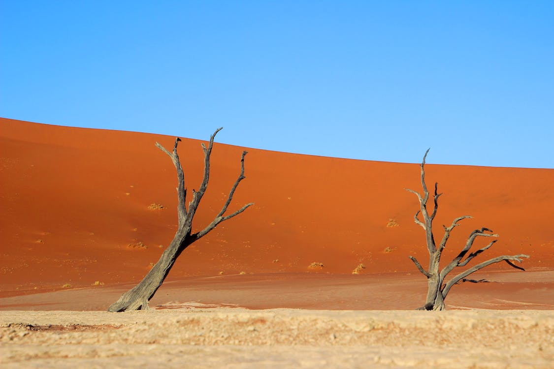 1125x750 A Barren Landscape near a Desert · Free