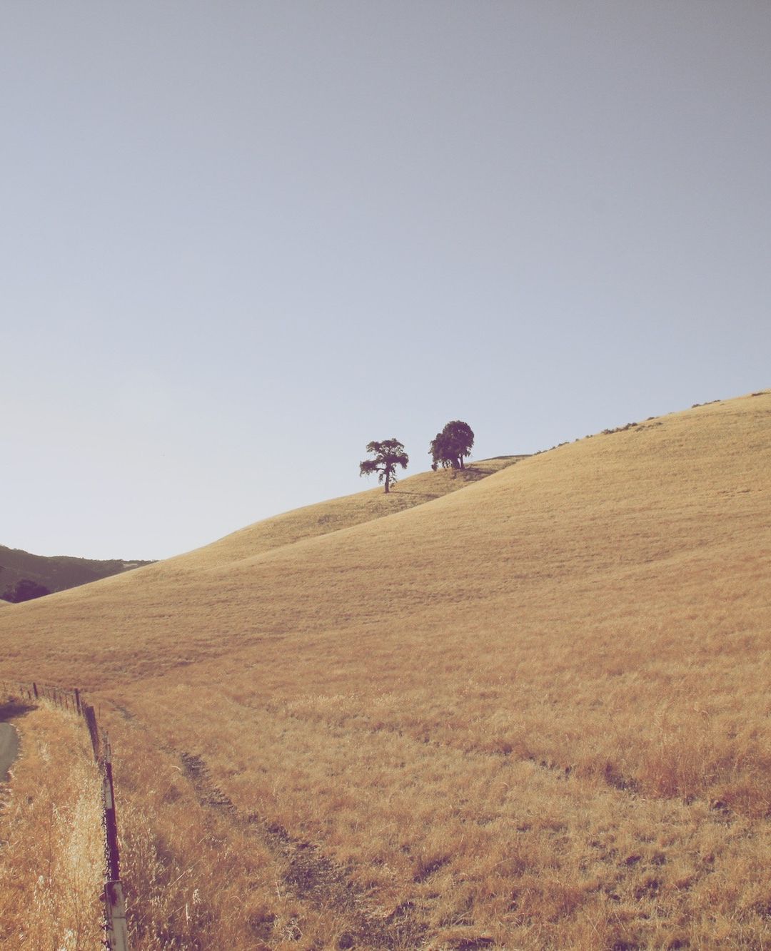 1080x1333 Barren Countryside iPhone Wallpaper