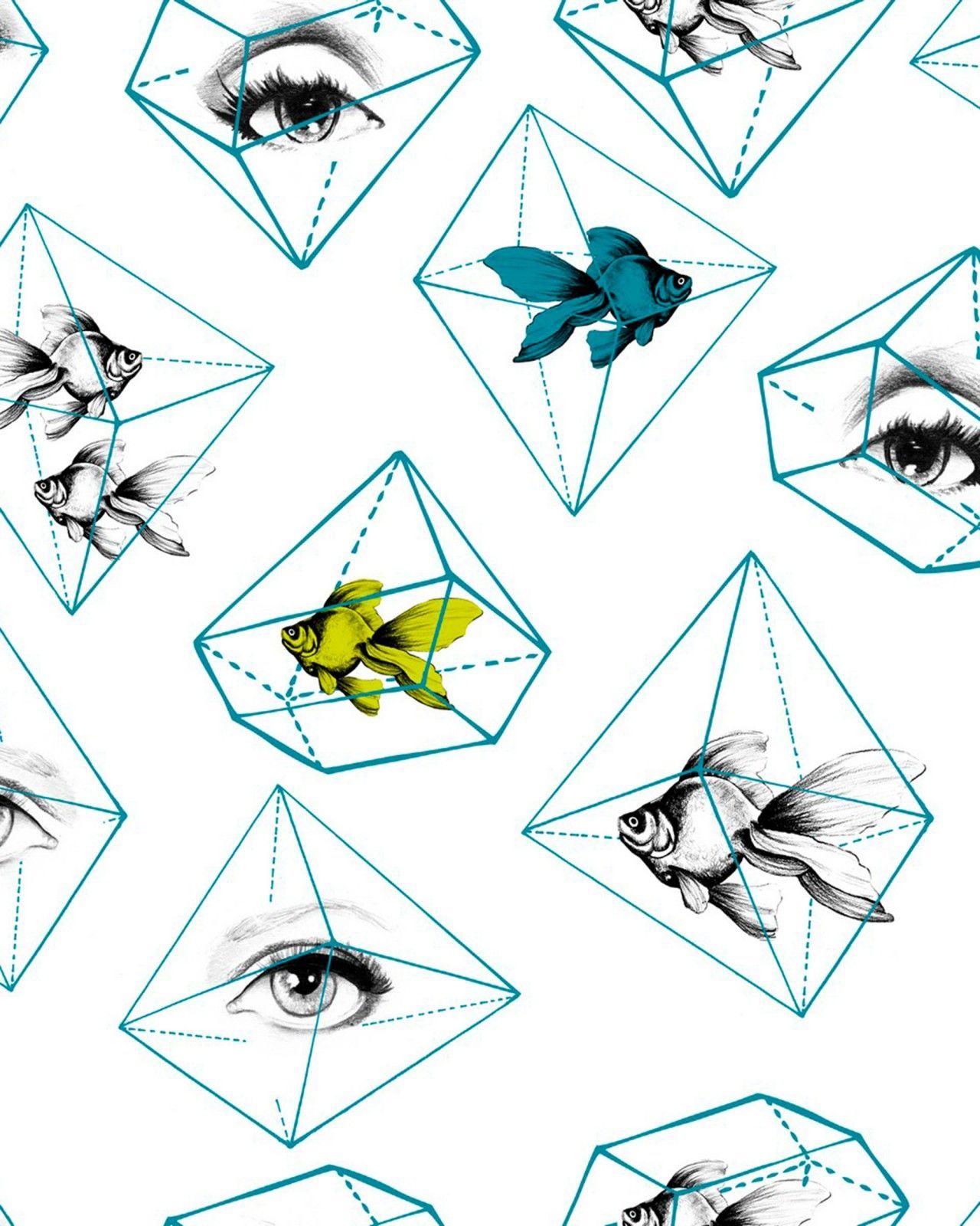 Fish Eye Wallpapers - Top Free Fish Eye Backgrounds - WallpaperAccess