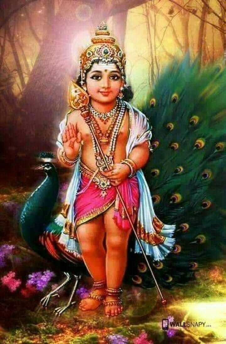 720x1097 Subramanian Swamy God Wallpaper