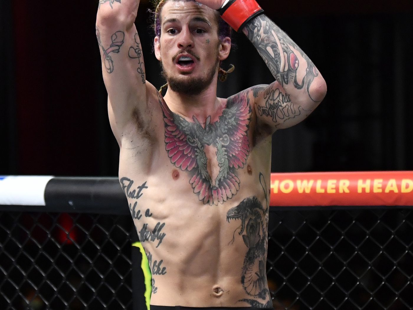 1400x1050 Sean O'Malley Wallpaper