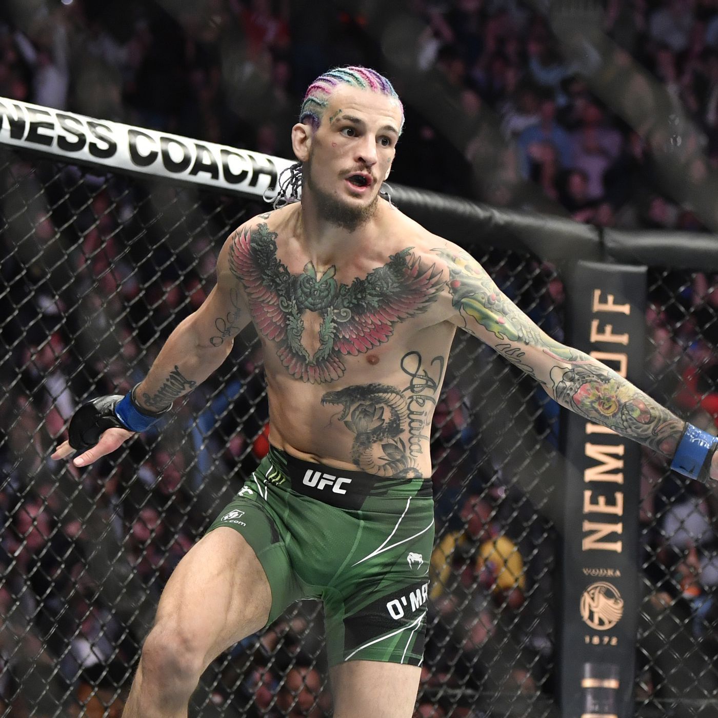 1400x1400 Aljamain Sterling on Sean O'Malley as a potential title contender in the future: “If I'm being honest, that guy's really f******* good'