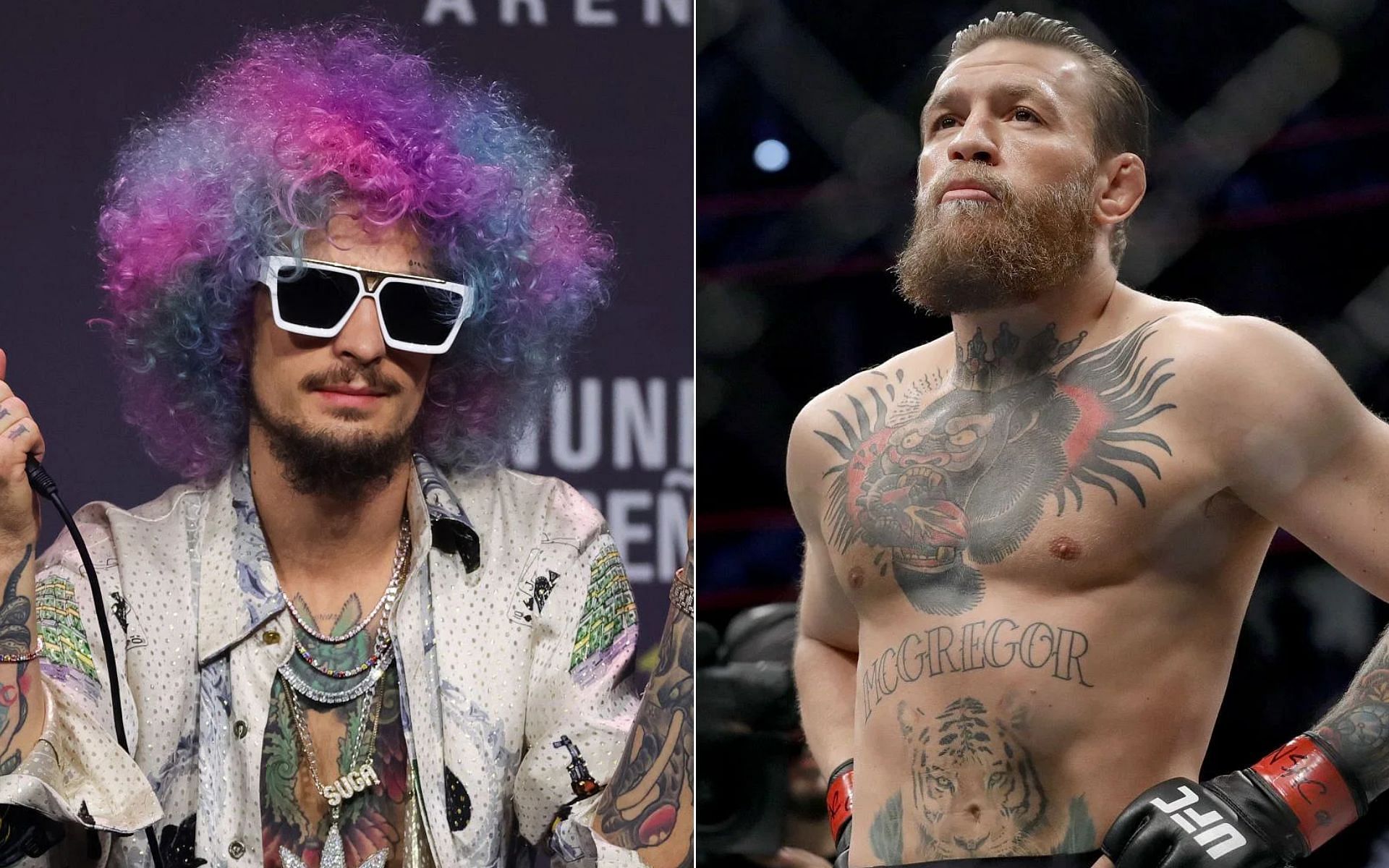 1920x1200 Sean O'Malley: Sean O'Malley reveals the thing he likes best about Conor McGregor fights