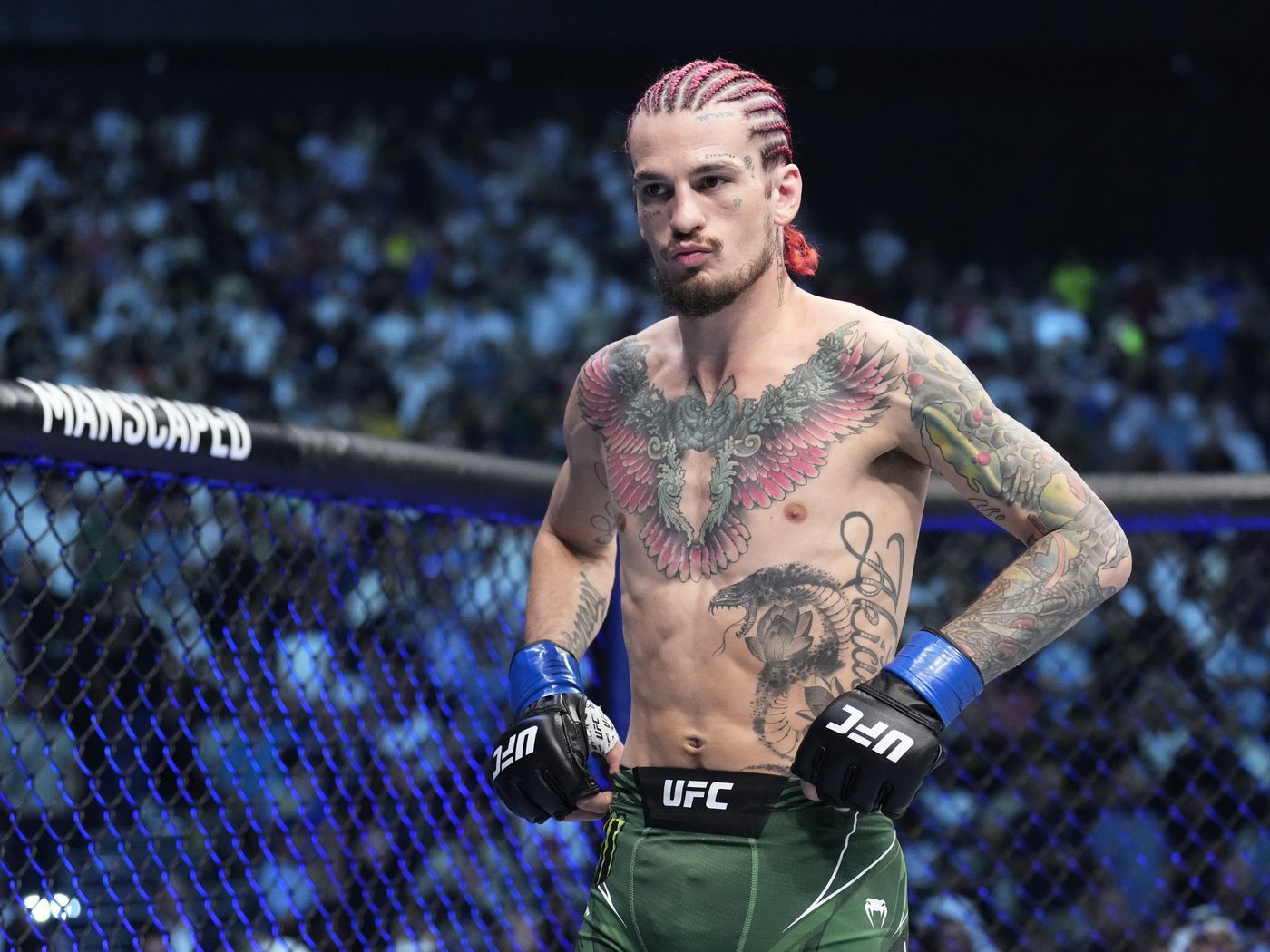 1400x1050 Sean O'Malley ready to save UFC: 'They need a superstar right now'