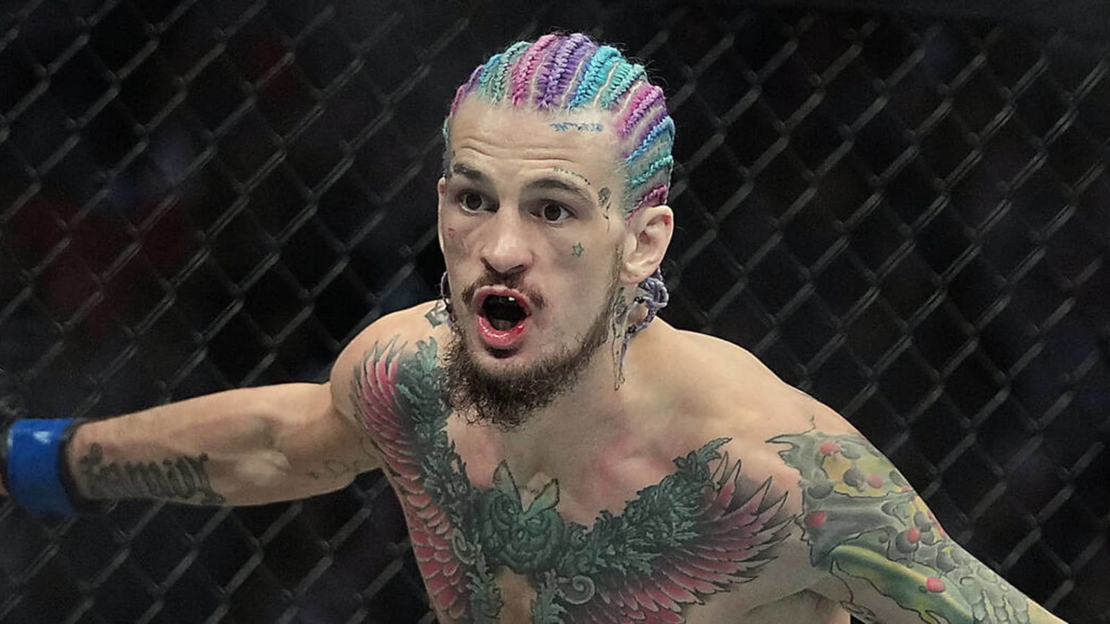 1600x900 Sean O'Malley to face Petr Yan at UFC 280