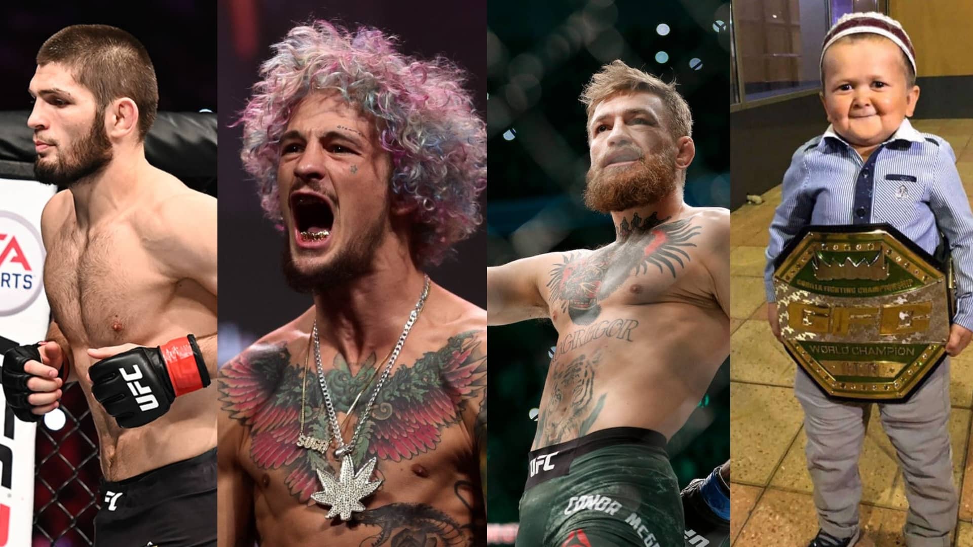 1920x1080 I could take out Khabib, Conor can fight Hasbulla: Sean O Malley lightens up ahead of