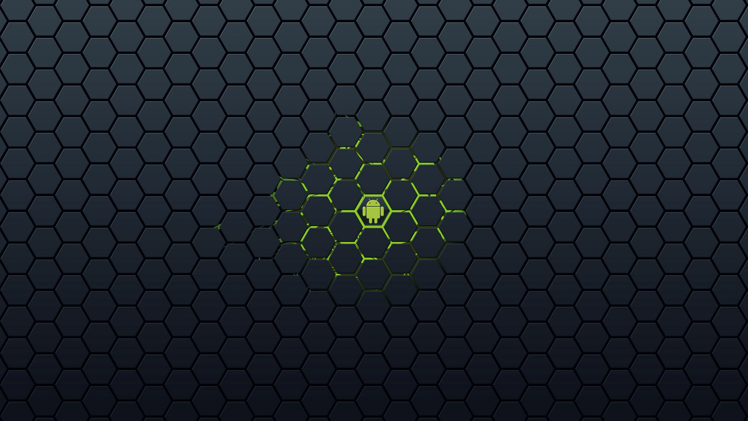 2560x1440 Technology Android HD Wallpaper
