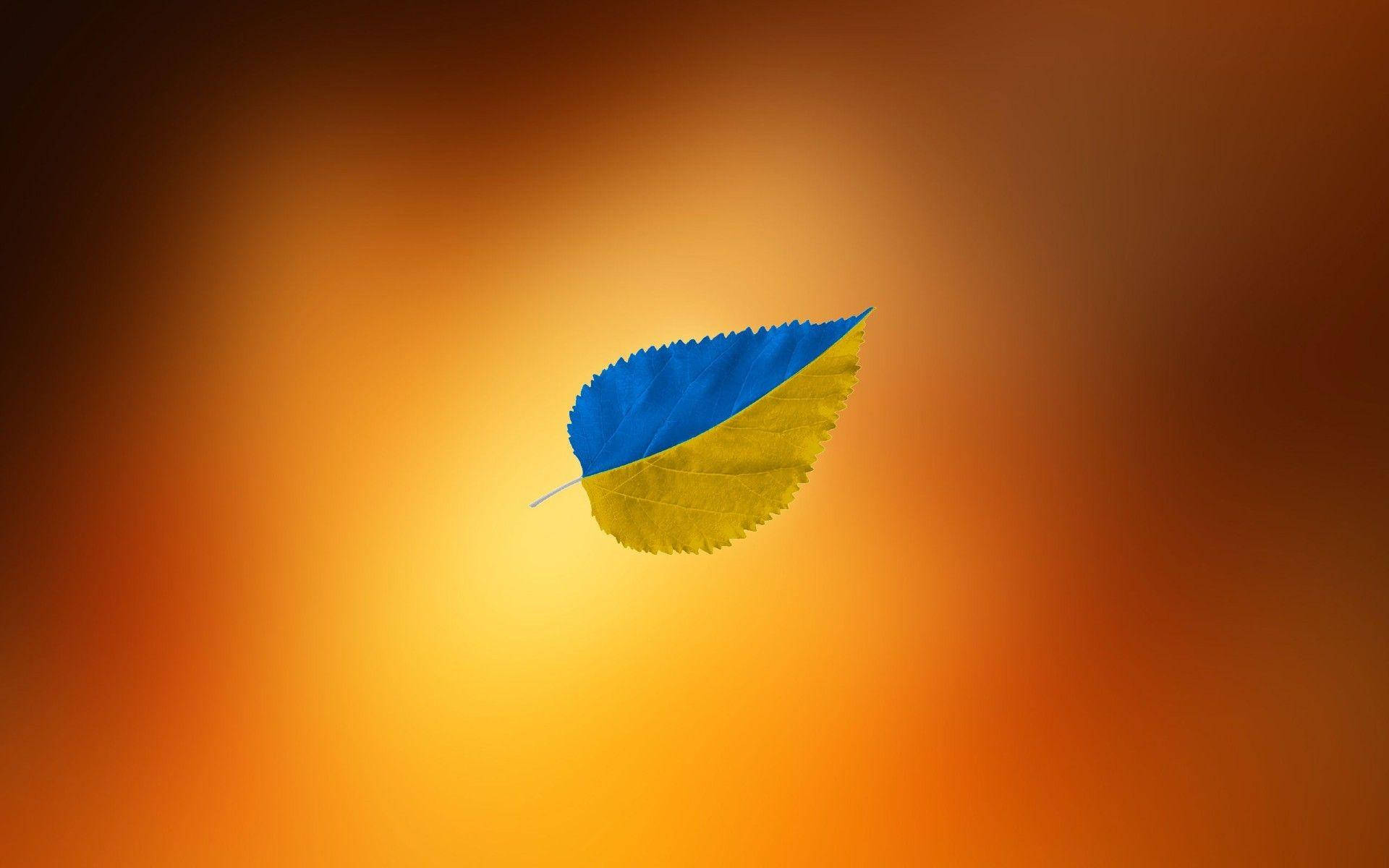 1920x1200 Download Symbolic Representation of Ukrainian Pride Flag Leaf Wallpaper