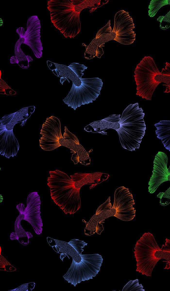 700x1200 Seamless fish pattern with black background. Vector aquarium guppies in different co. iPhone wallpaper HD nature, Flower phone wallpaper, Wallpaper nature flowers