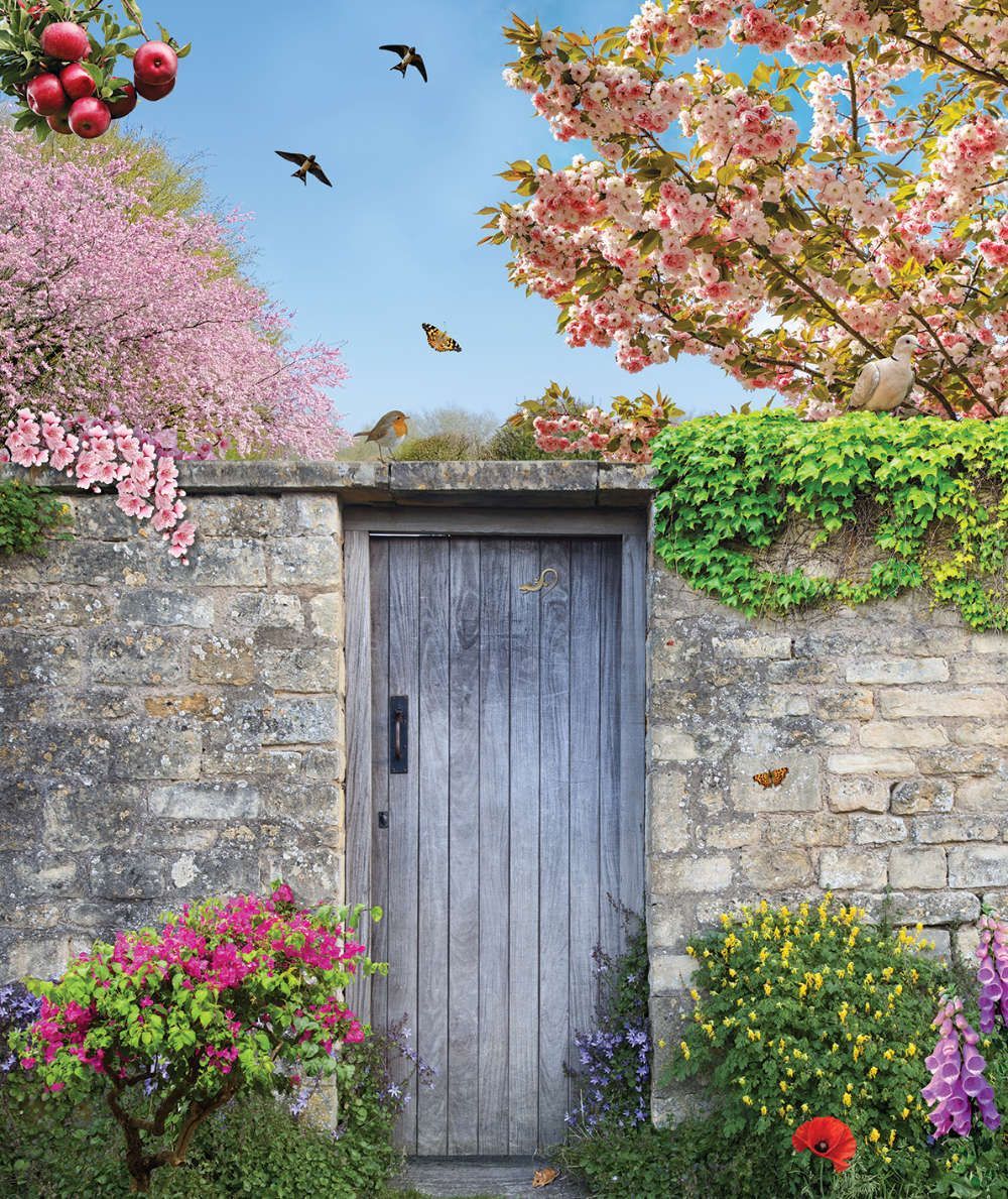 1000x1189 Secret Garden Wallpaper Wall