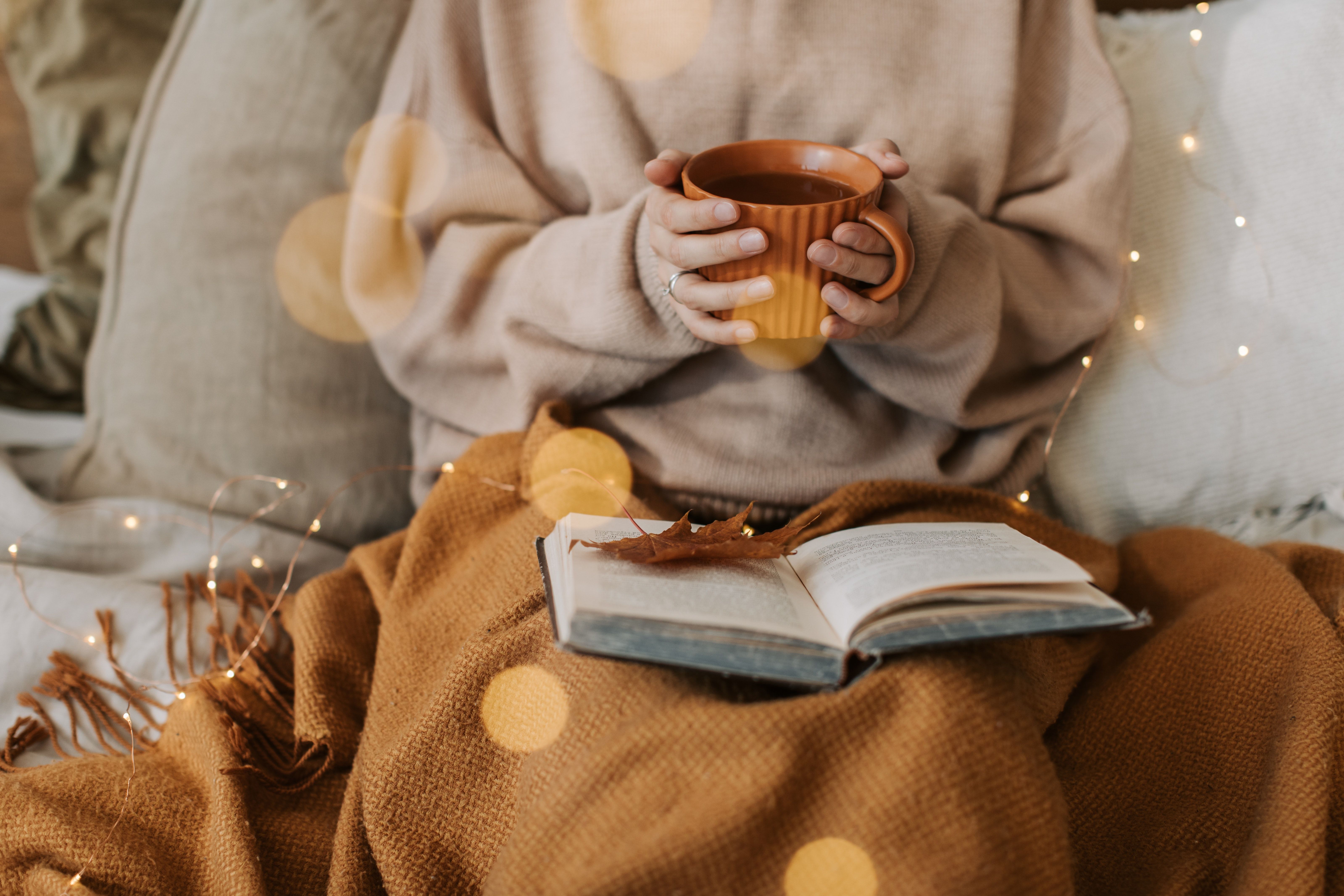 6397x4265 Book Aesthetic Photo, Download The BEST Free Book Aesthetic & HD Image