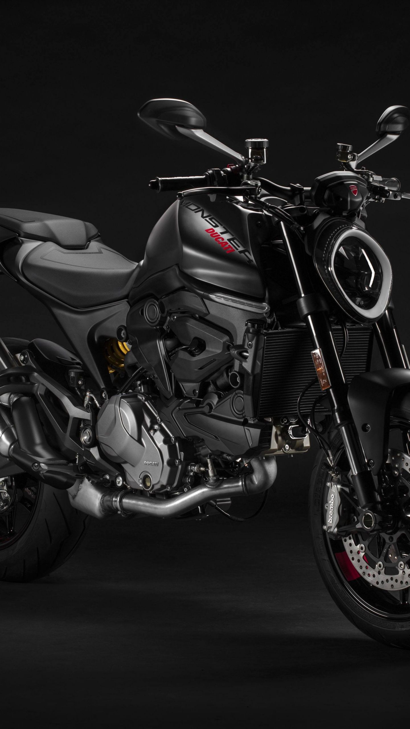 1440x2560 Ducati Monster Wallpaper 4K, Sports bikes, 2021