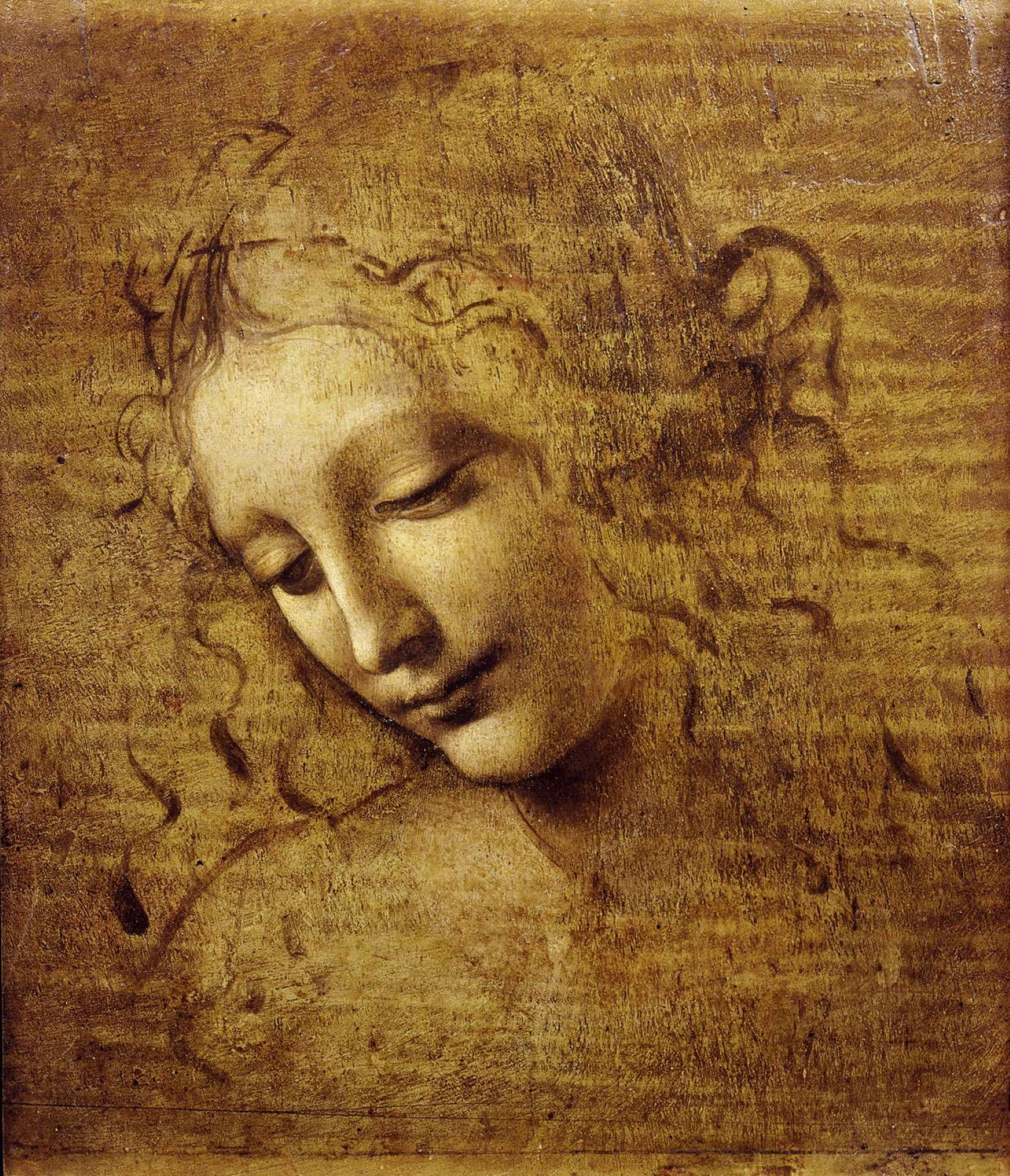 1649x1920 Download Leonardo Da Vinci Female Head Painting Wallpaper