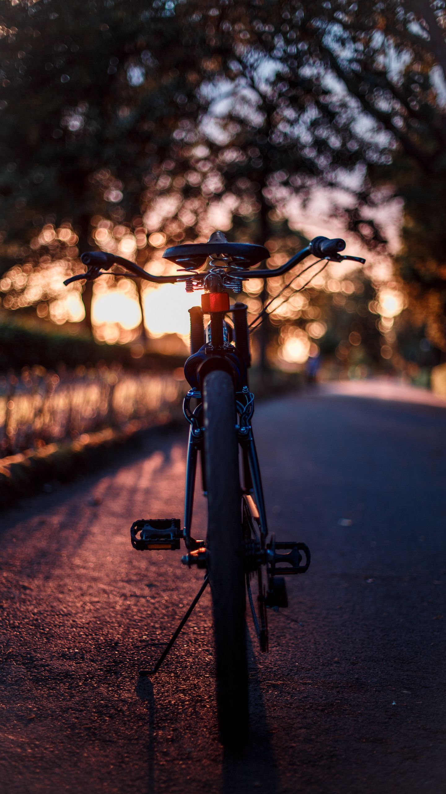 1440x2560 Download wallpaper 1440x2560 bicycle, glare, sunset, motion blur qhd samsung galaxy s s edge, note, lg g4 HD background