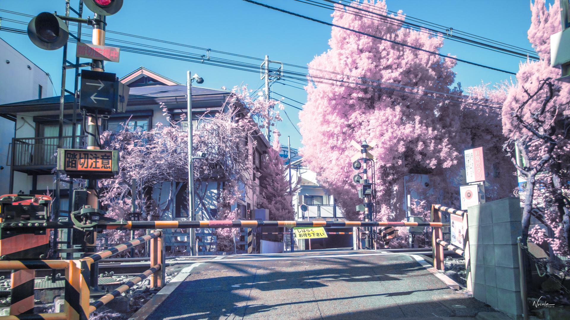 1920x1080 ITAP in infrared of an anime train crossing in Tokyo, Japan