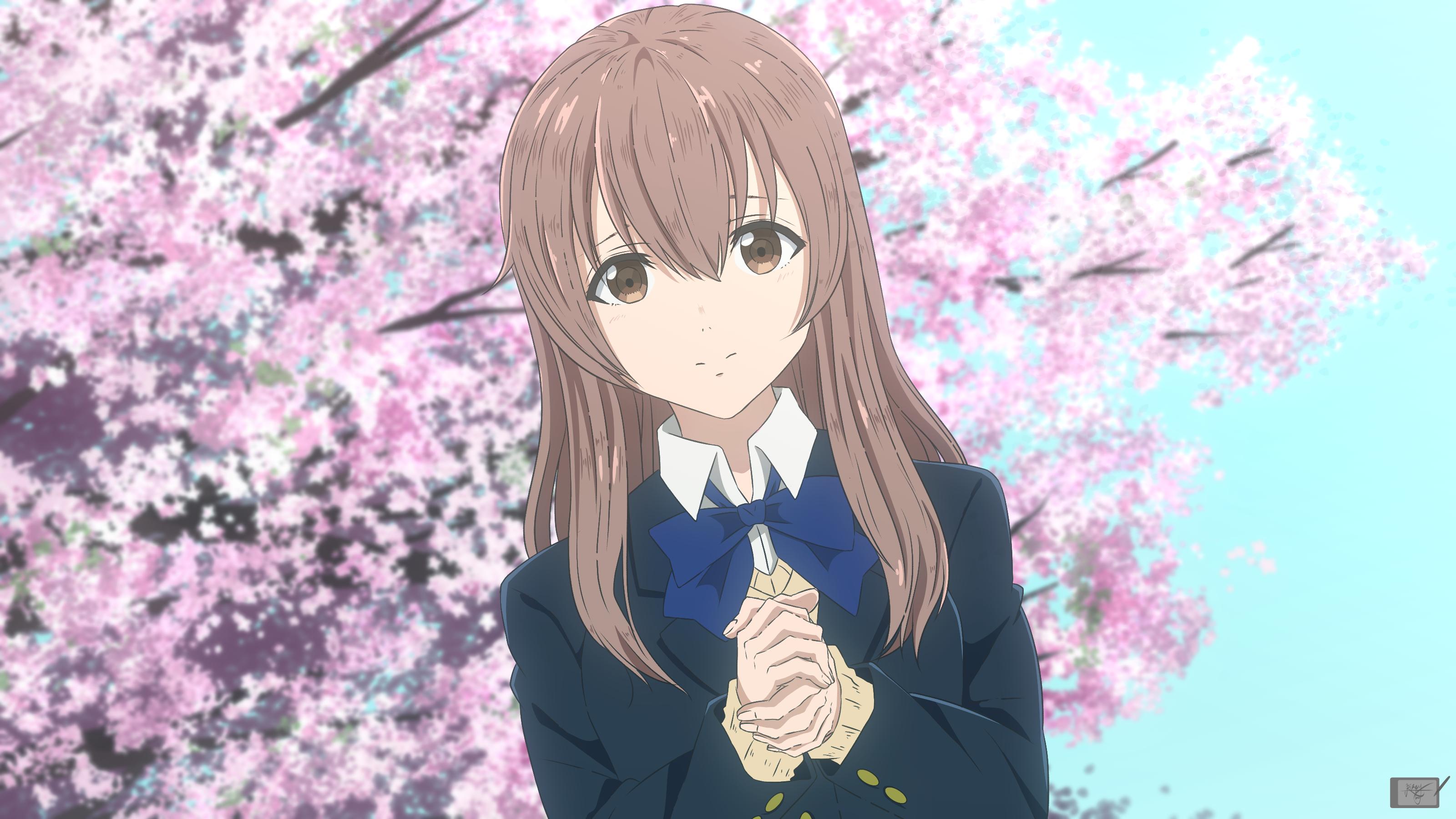 Shouko Nishimiya Wallpapers Top Free Shouko Nishimiya