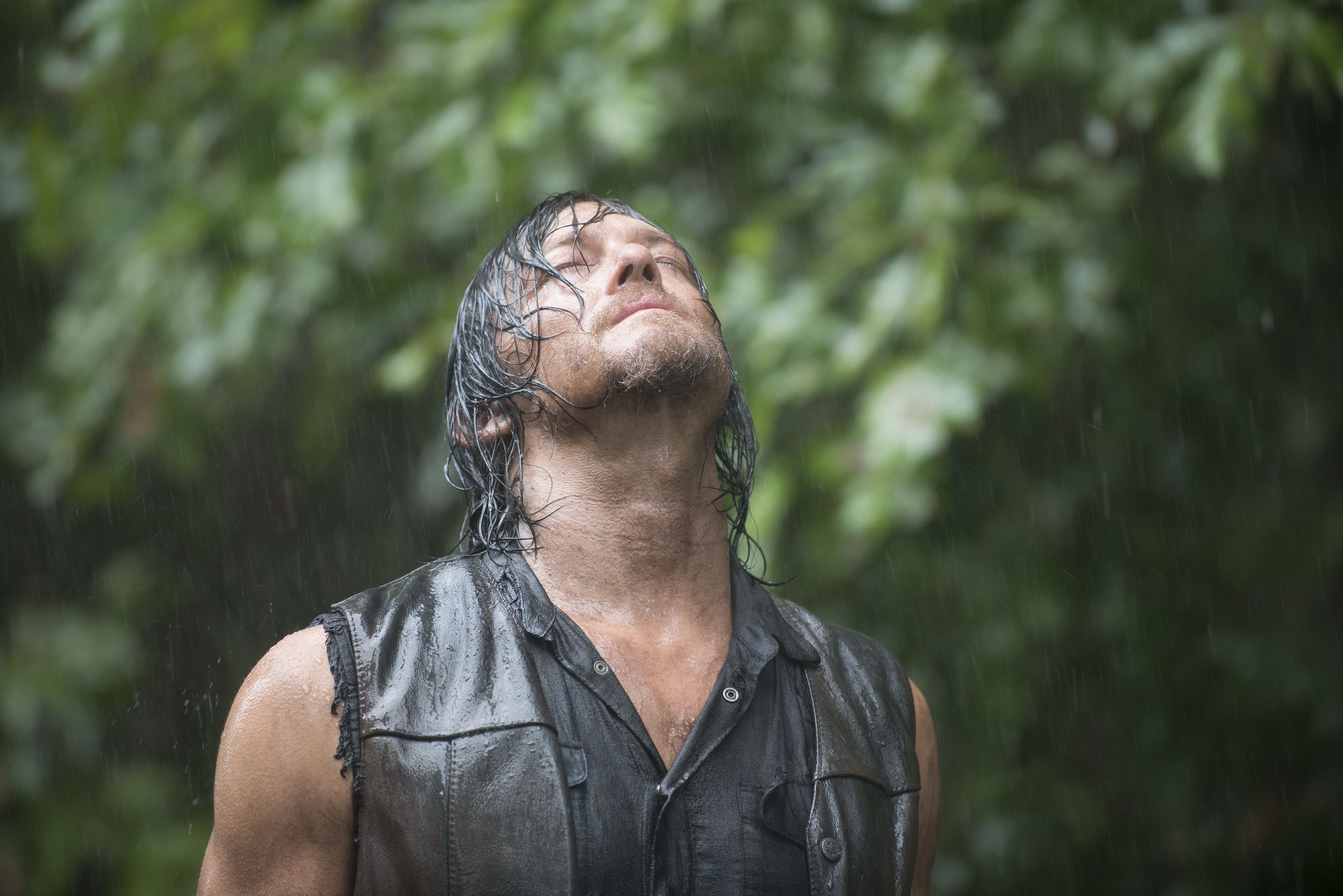 3600x2403 The Walking Dead / Wallpaper Dixon image