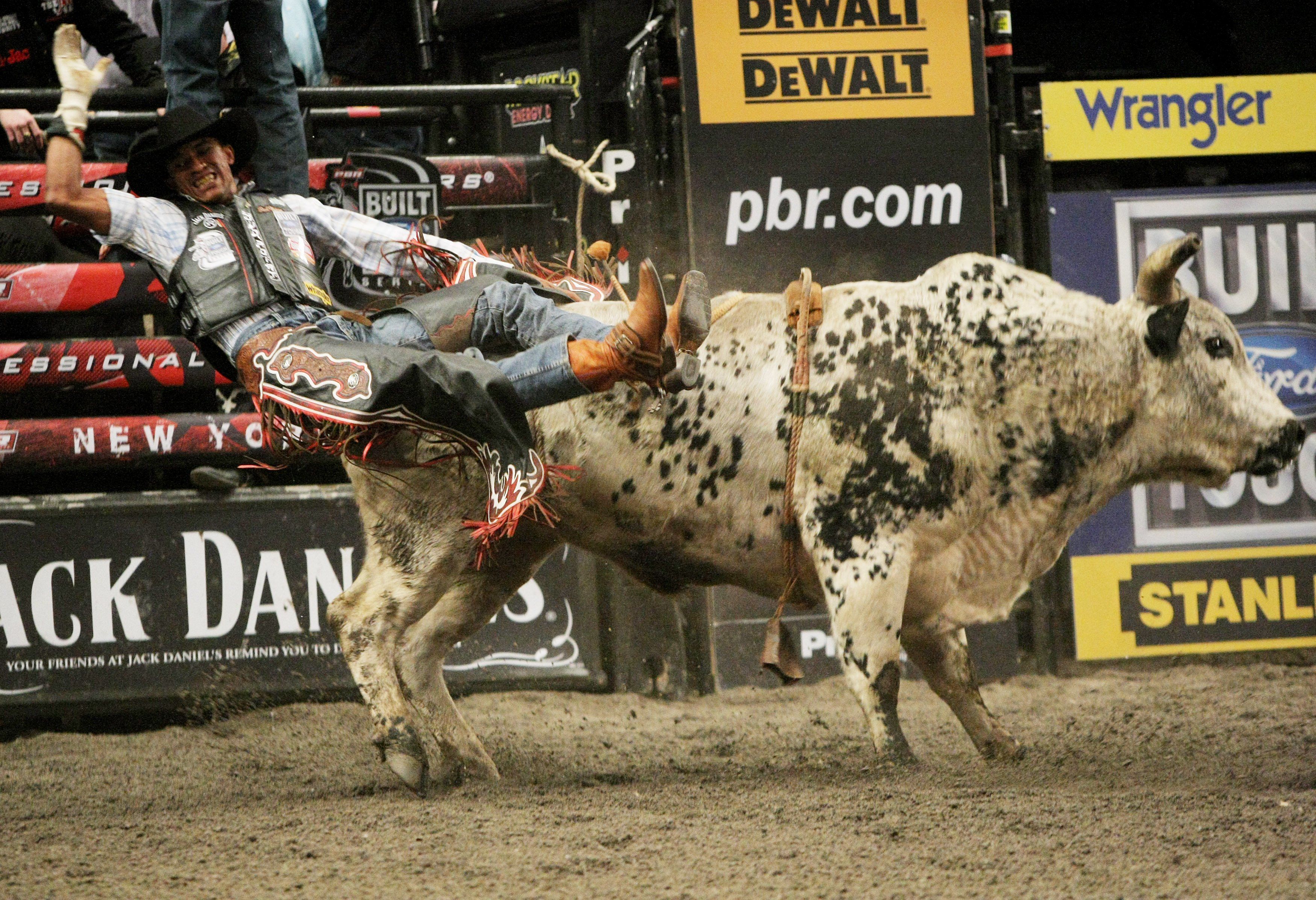 3500x2394 Free download Lane Frost Bull Riding Wallpaper Lane frost bull riding [3500x2394] for your Desktop, Mobile & Tablet. Explore Lane Frost Wallpaper. Emma Frost Wallpaper, Frost Mage Wallpaper, Frost Wallpaper