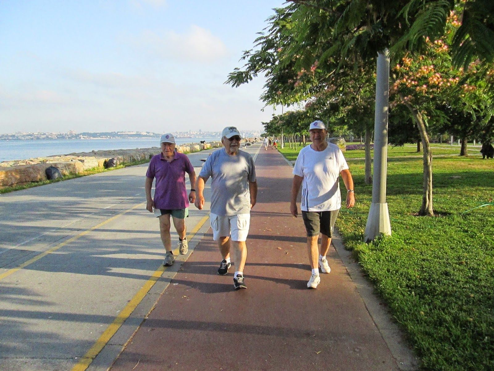 1600x1200 East Central Europe Past And Present: The Walkers Of Kadıköy