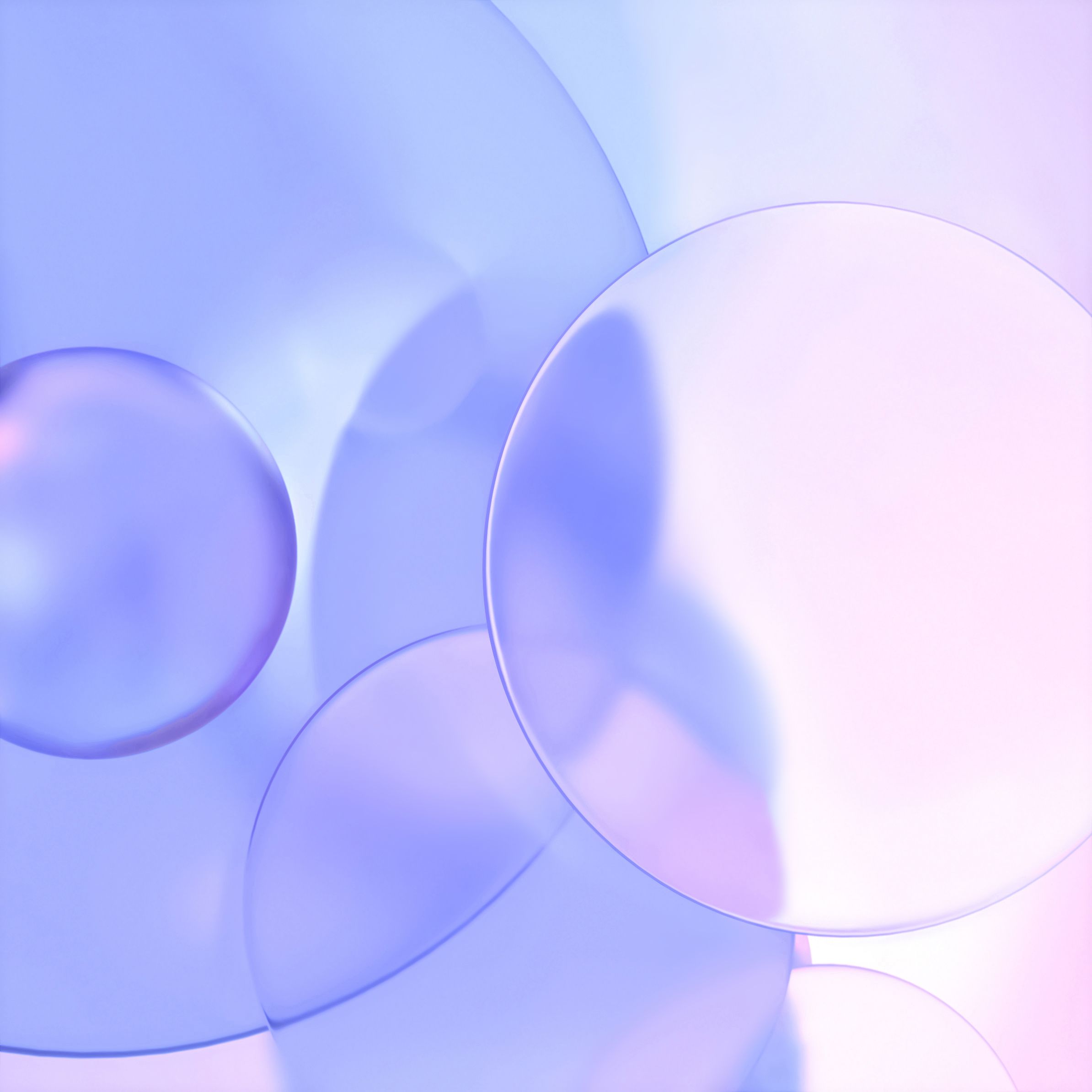 2388x2388 Honor 50 Wallpaper