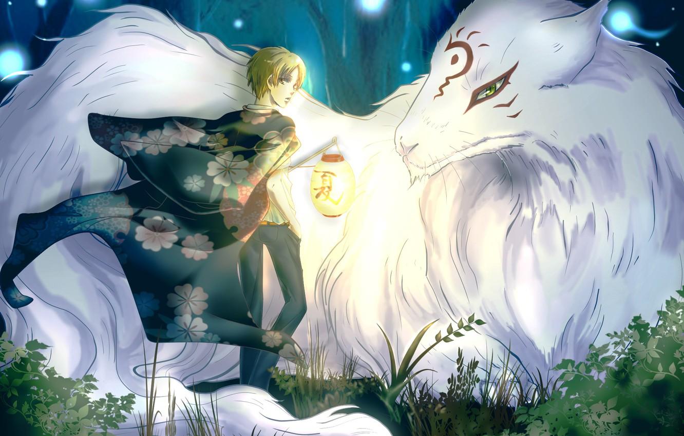1332x850 Wallpaper Forest, Trees, Nature, Anime, Art, Lantern, Guy, Madara, Natsume Takashi, Natsume Yuujinchou, The Natsume Book Of Friendship, Nyanko Sensei, We'll Benches Image For Desktop, Section прочее