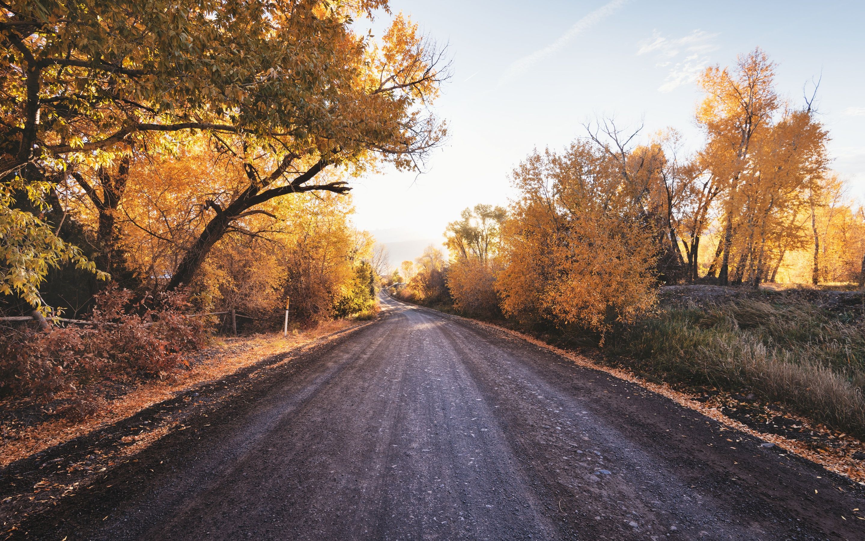 2880x1800 Dirt road Wallpaper 4K, Autumn trees, Landscape