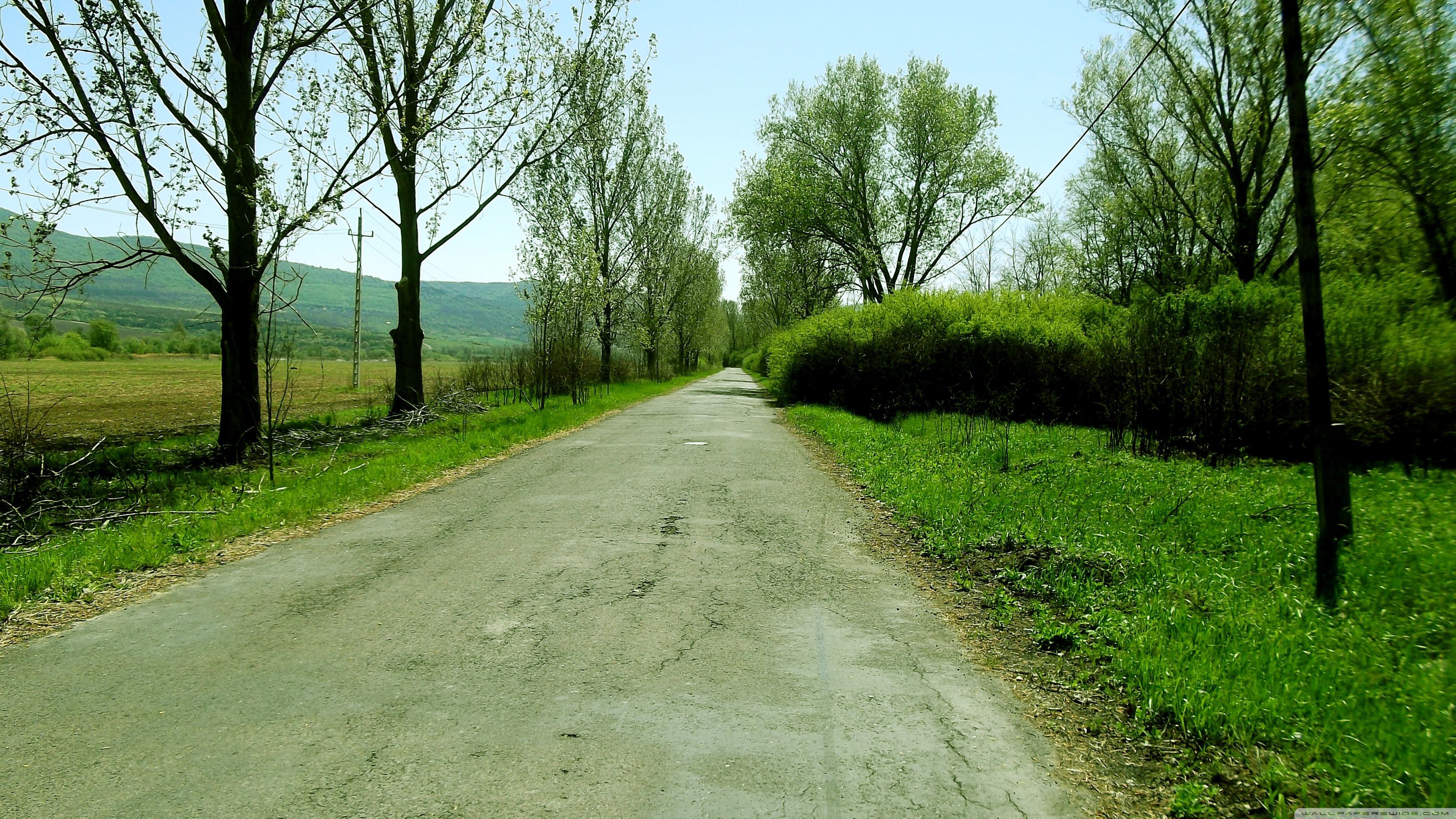 3554x1999 Sunny Road in April Ultra HD Desktop Background Wallpaper for 4K UHD TV